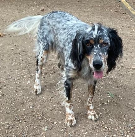 Tea Vela - Via Di Ponte Salario, Rome