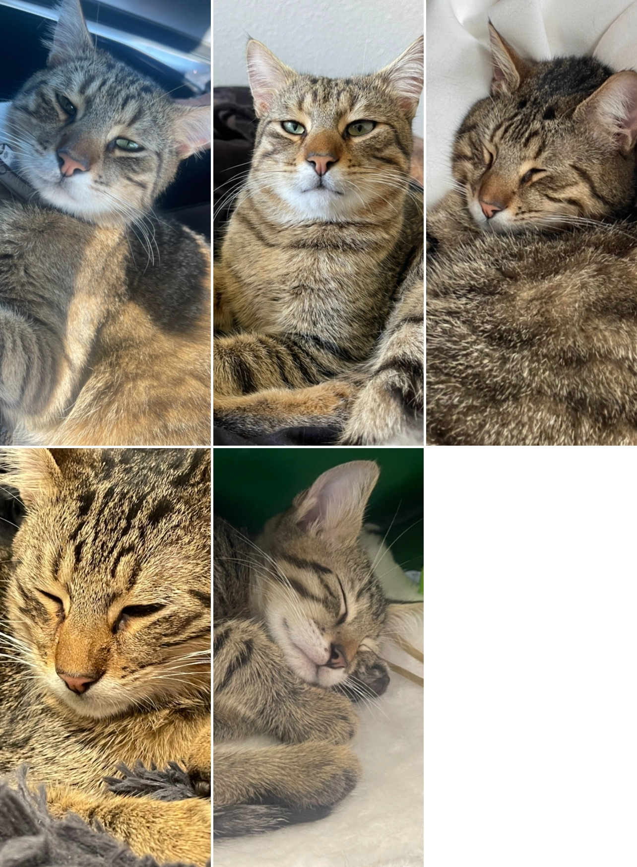 Kimba  - Hauptstraße 4, Timmendorfer Strand