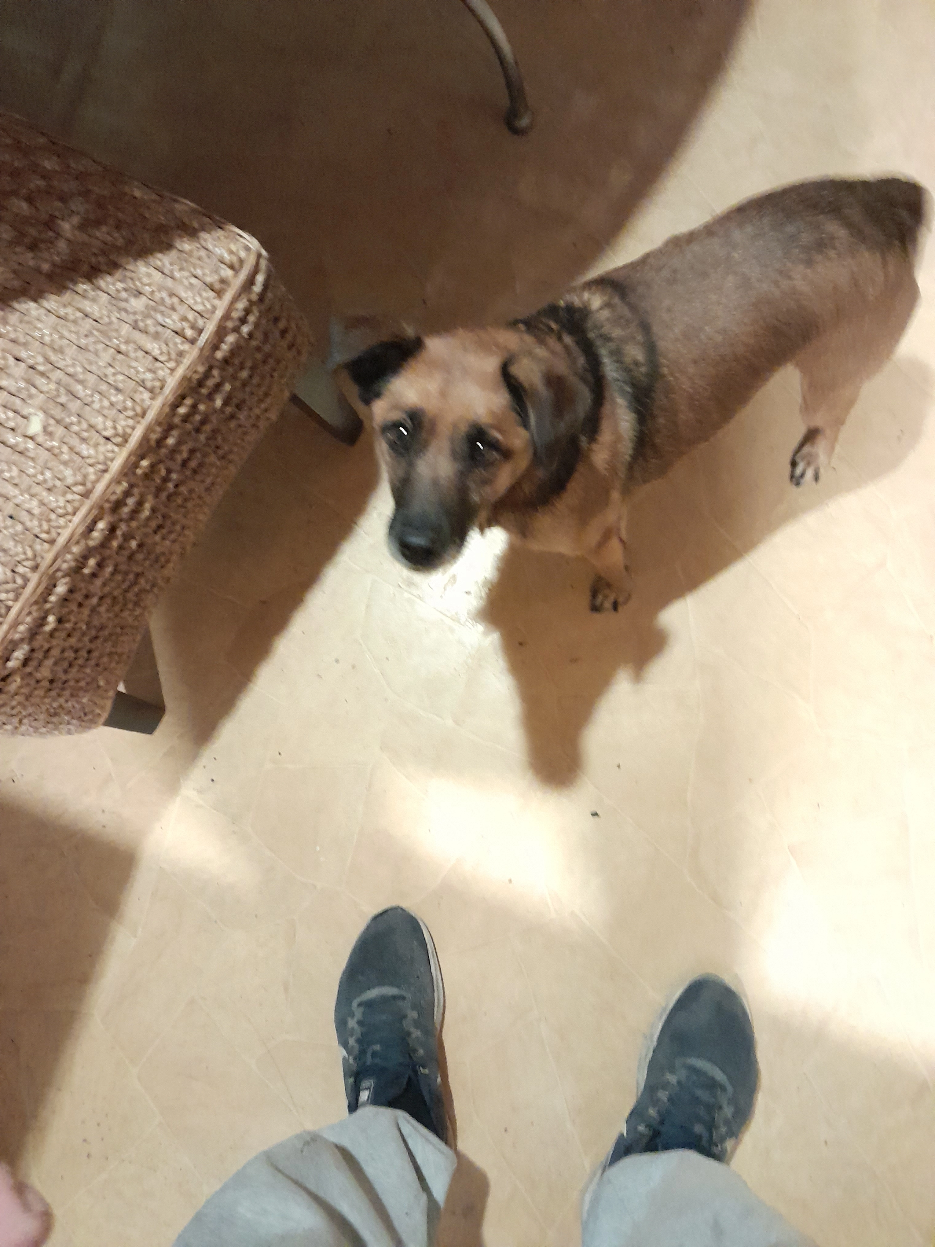 Ruben - Route D'orbec, Le Mesnil-Guillaume