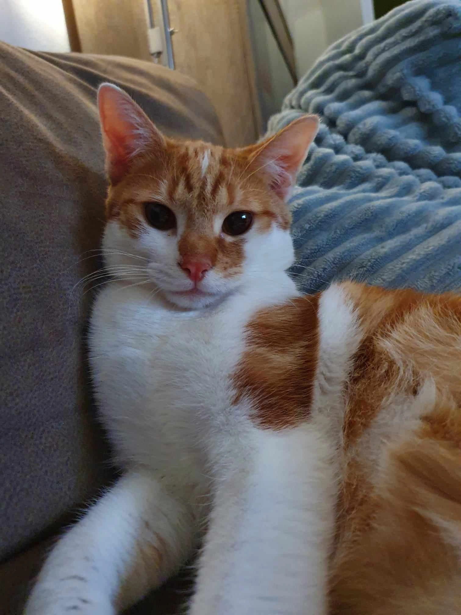 Leo - Sieverstedter Straße, Sieverstedt