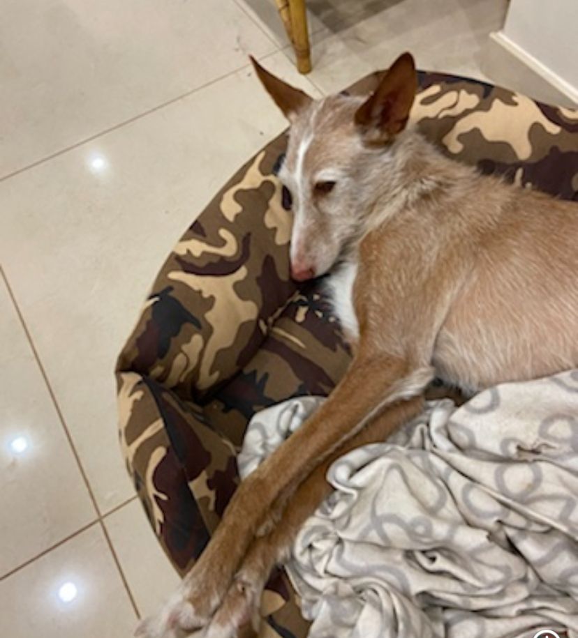 Linda - Pl Poligono Numero 21, Monserrat