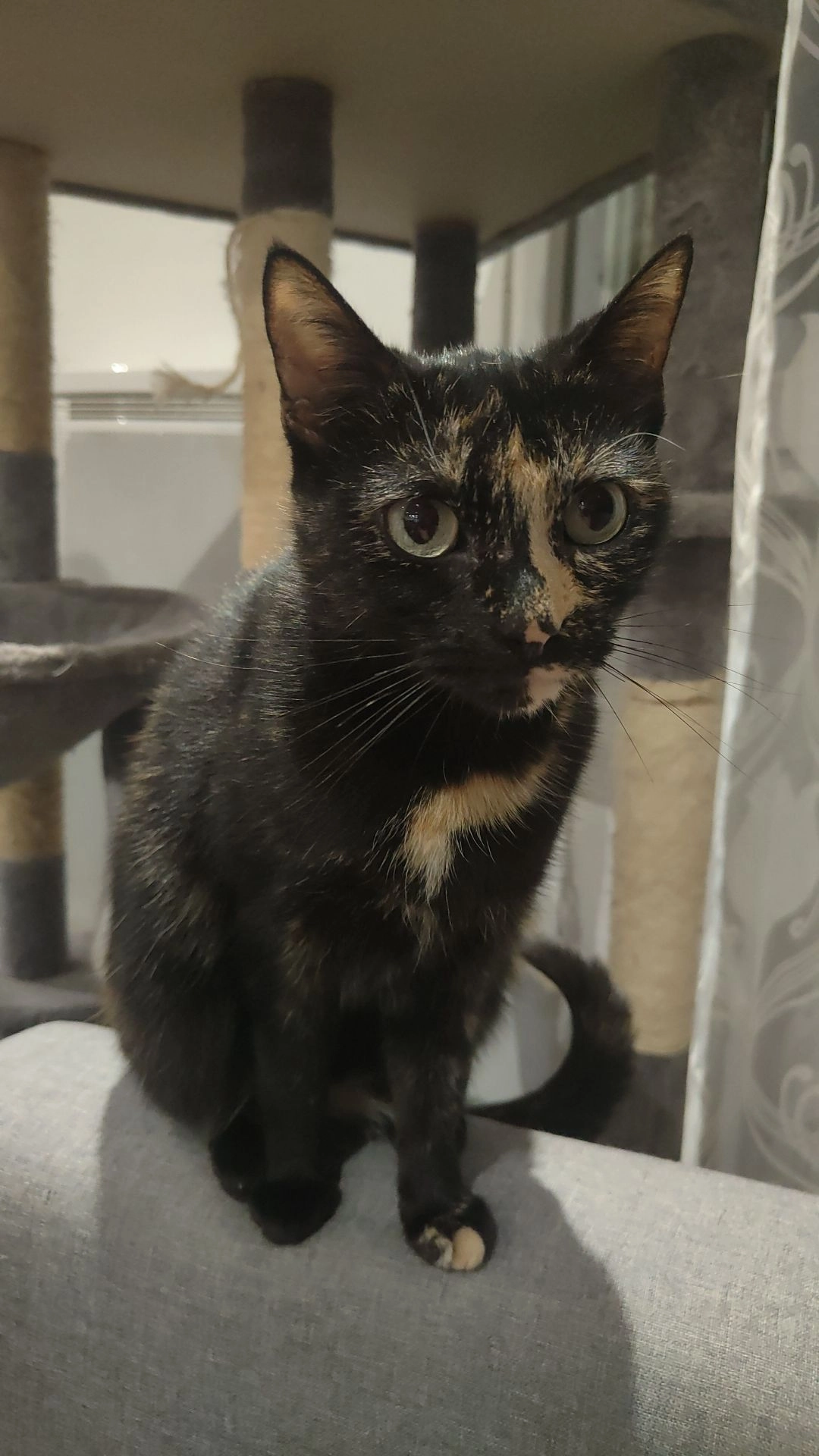 Athena - 1077 Rue du Bois le Prêtre, Pont-à-Mousson