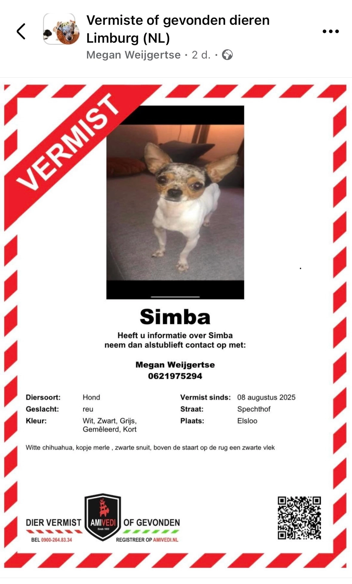 Simba - Spechthof, Elsloo