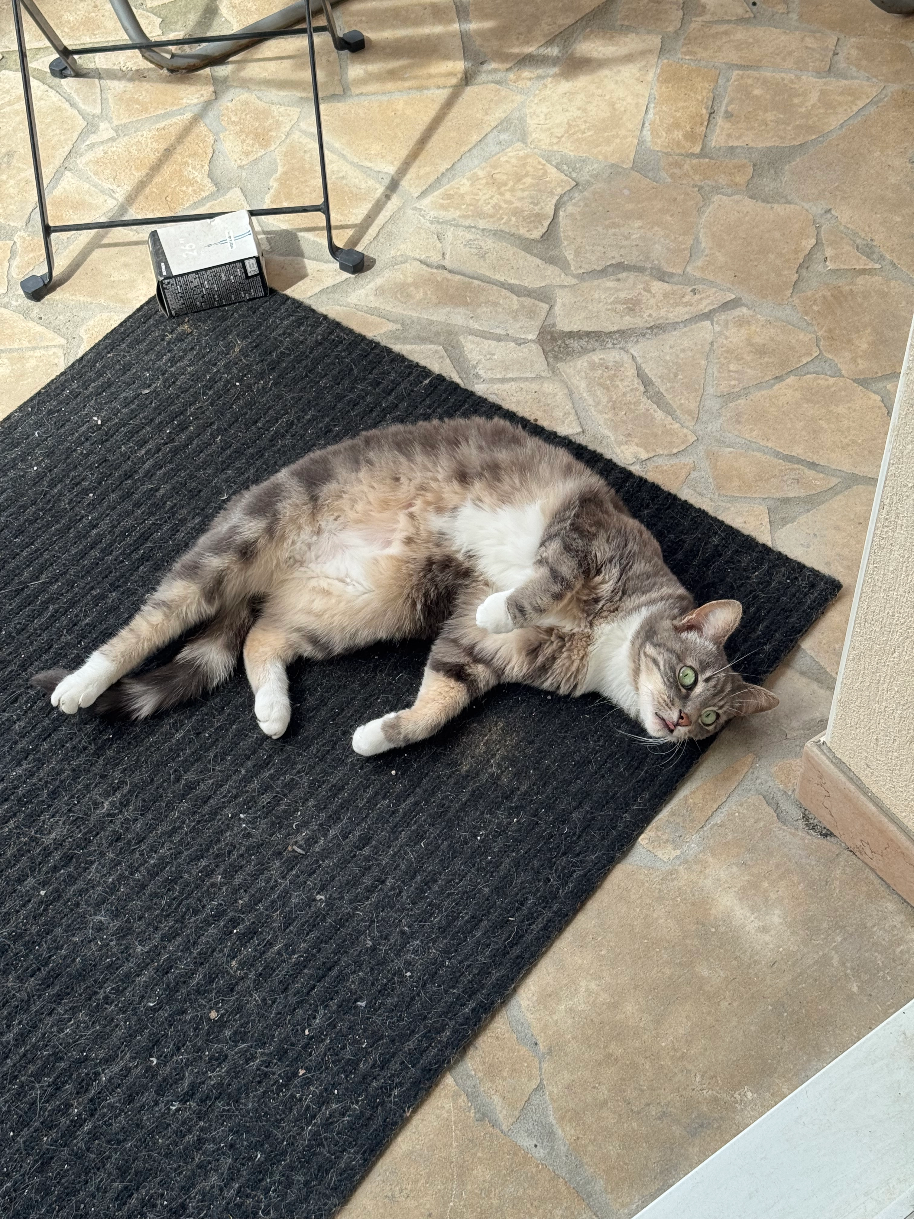 Ninja - Rue Du 8 Mai 1945, Yutz