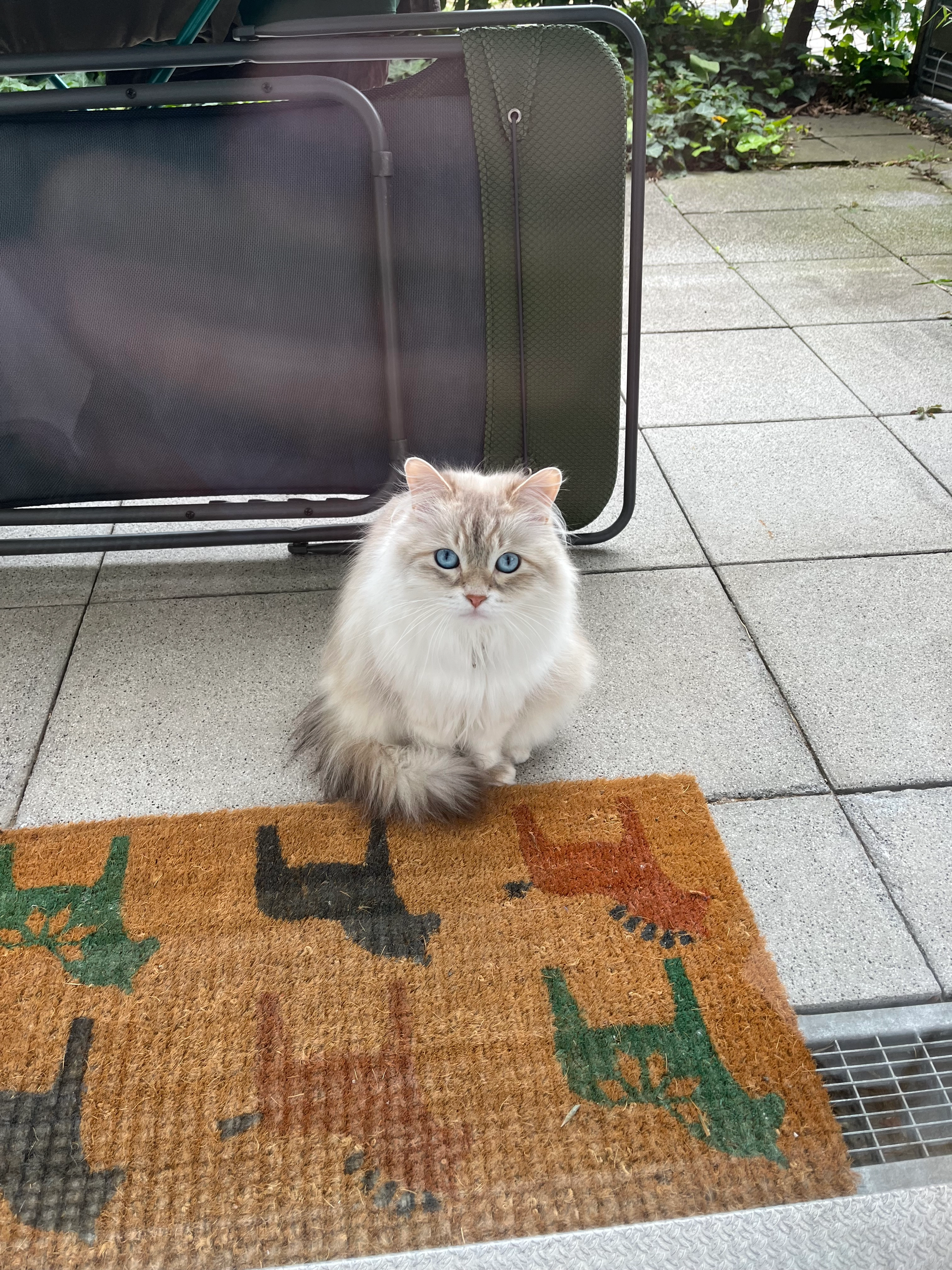 Bashia - Karlstraße, München