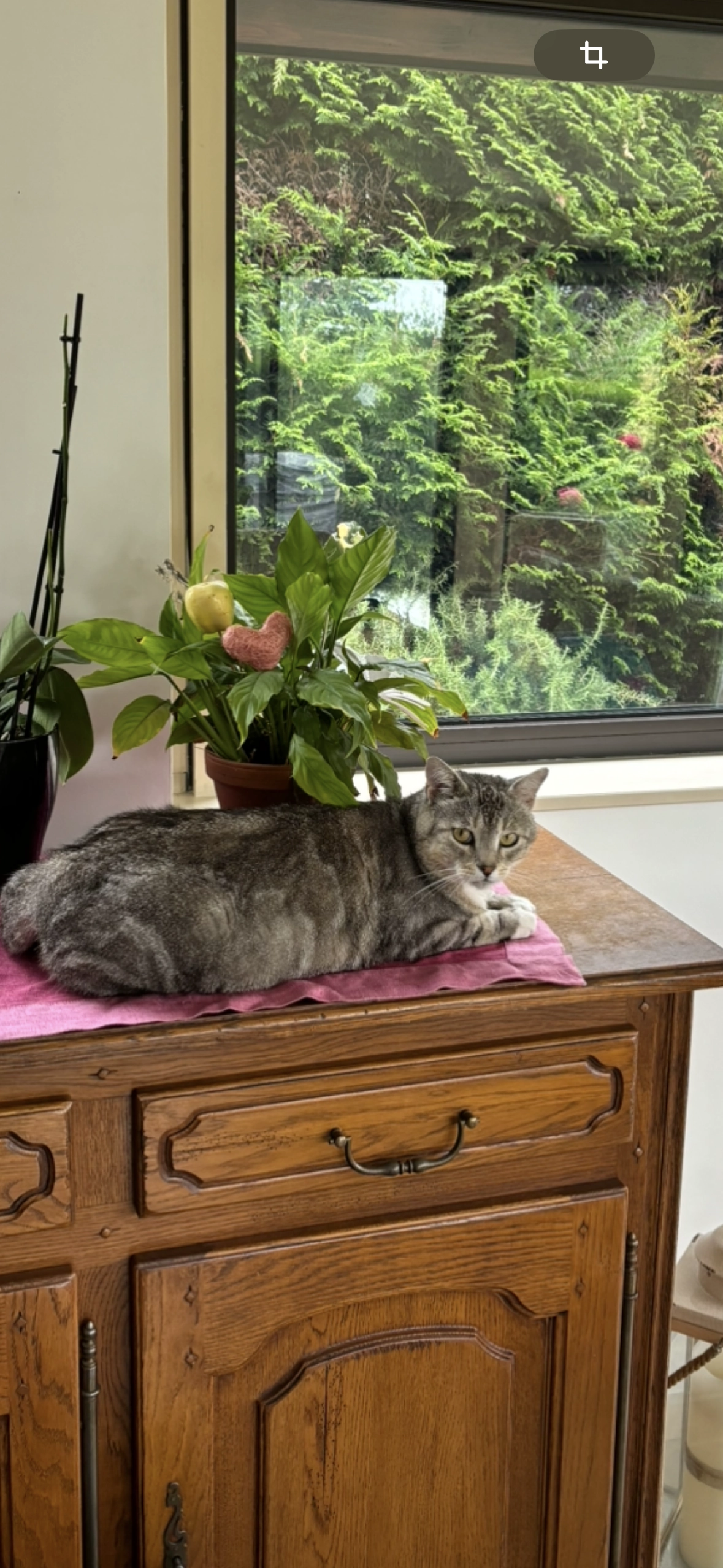 Kiwi - 10 Rue de la Côte, Annemasse