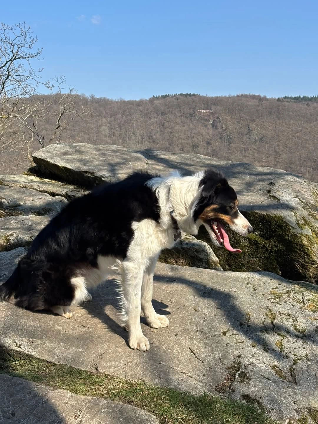 Anna - Villers-sur-Lesse, Rochefort