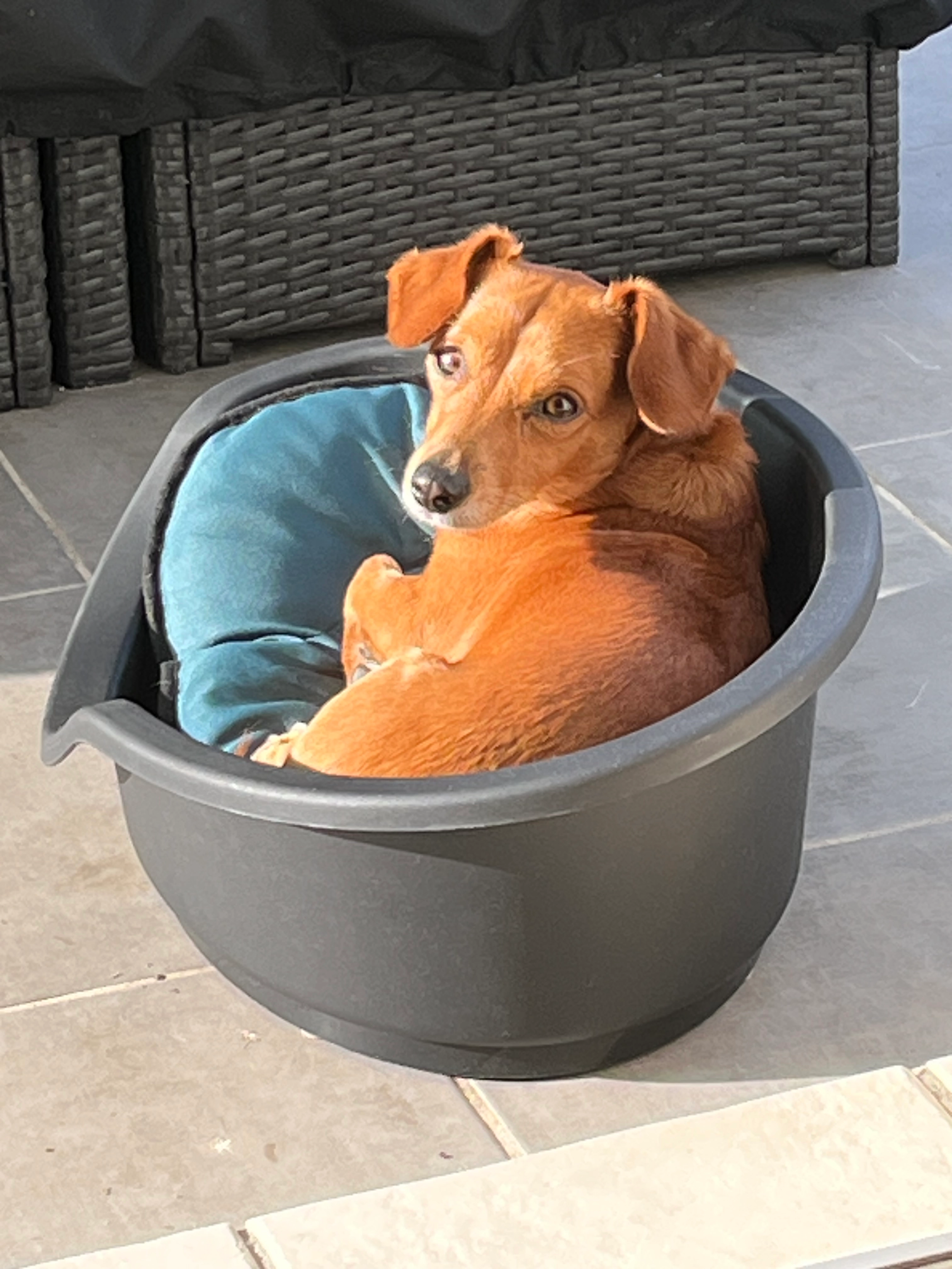 Richy - 11C Rue de Mautemps, Castres-Gironde