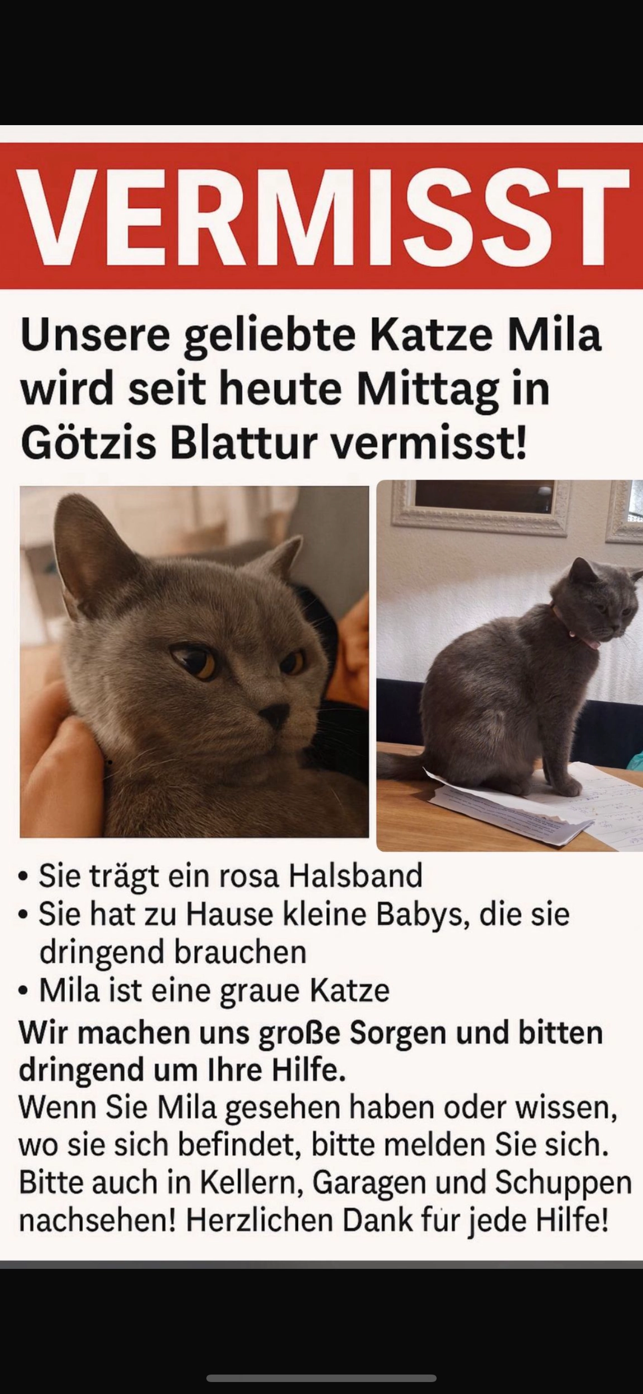 Mila - Blattur, Götzis