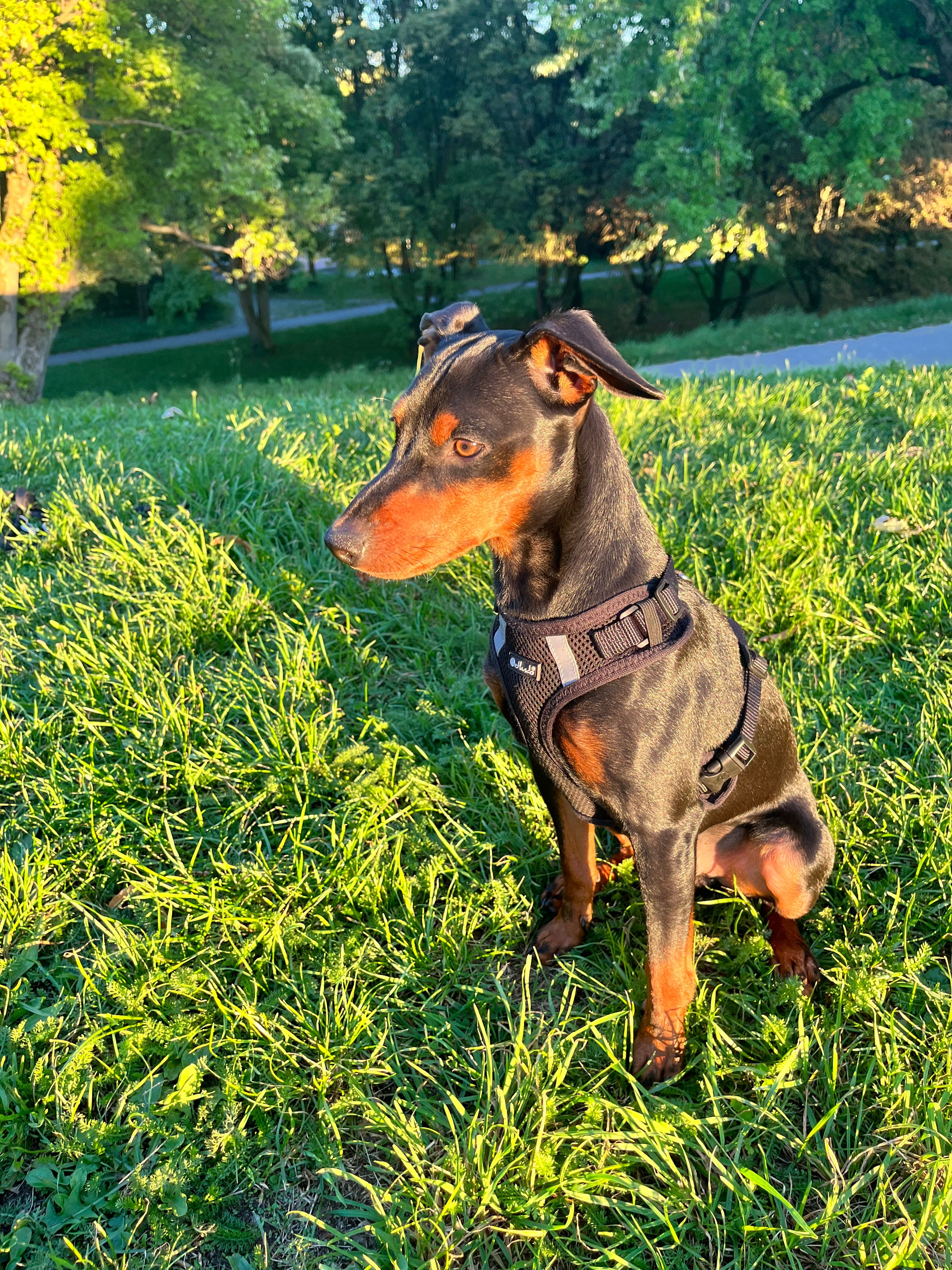 Demi - Connollystraße, München