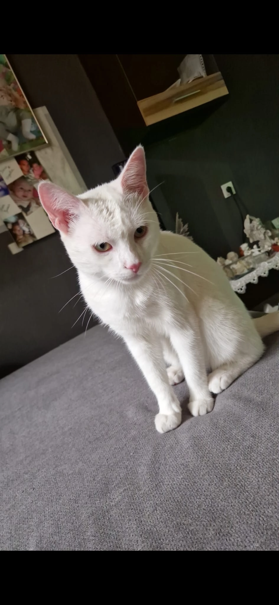 Moritz - Brunnengasse, Pirmasens