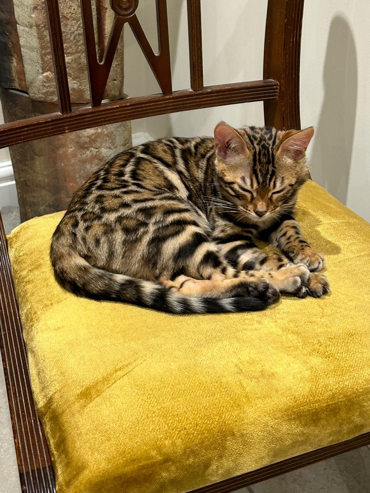 Twix - Crookham Common Road, Thatcham