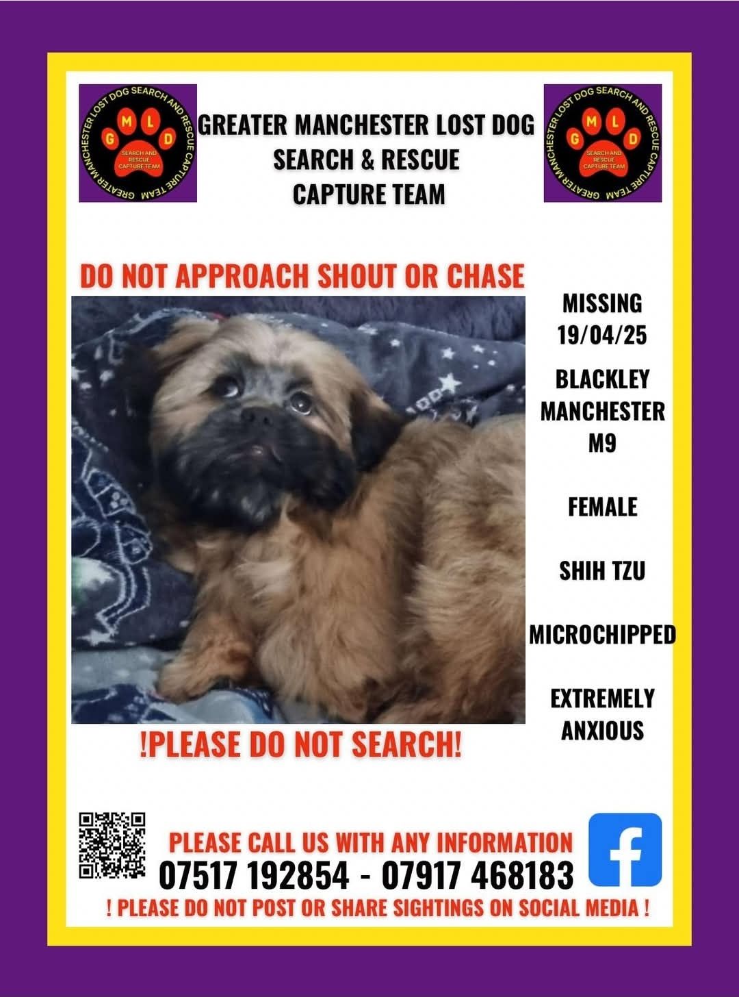 Lulu - Walker Road, Manchester