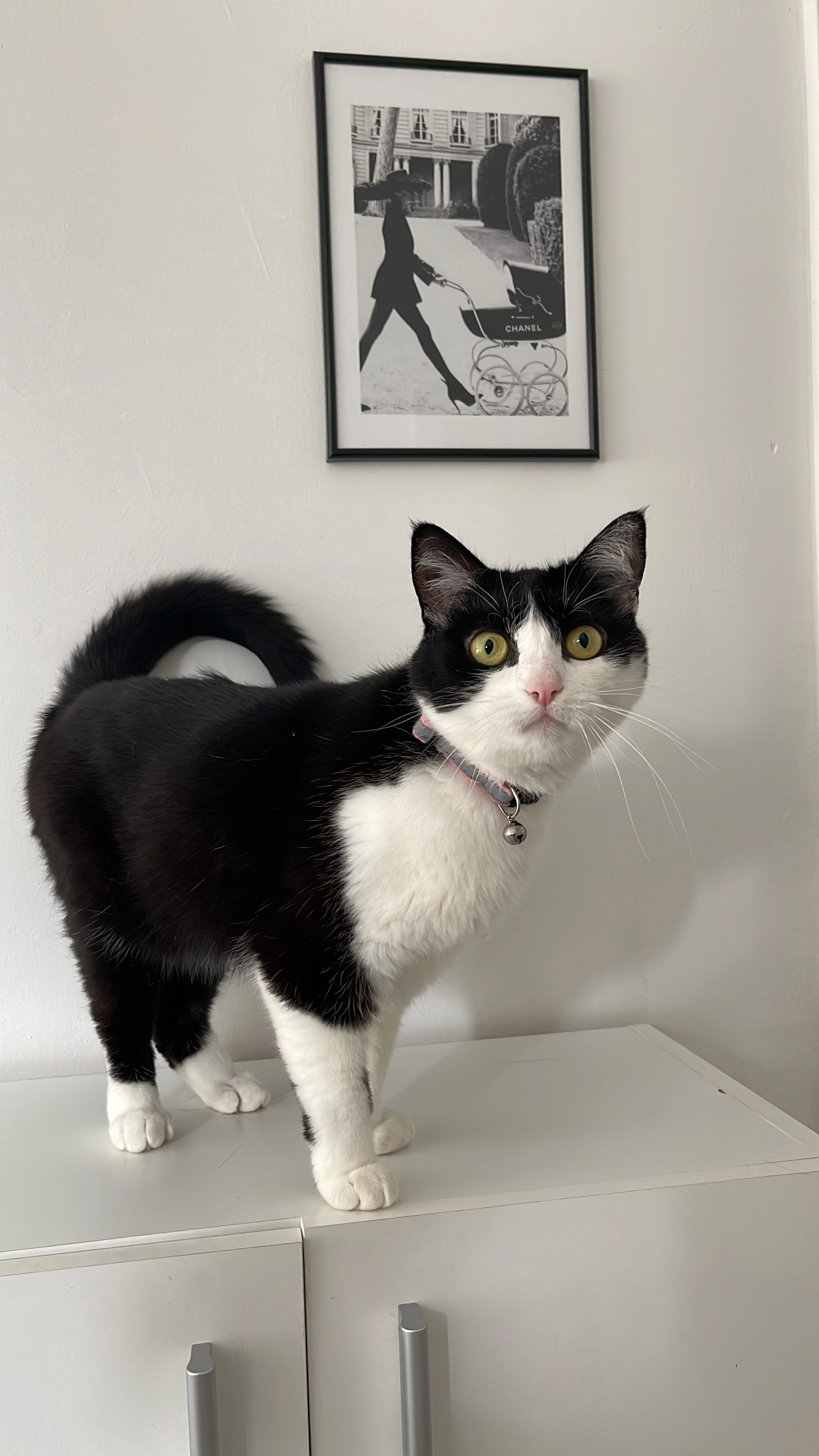 Ava - Vulkanstraße, Burgbrohl