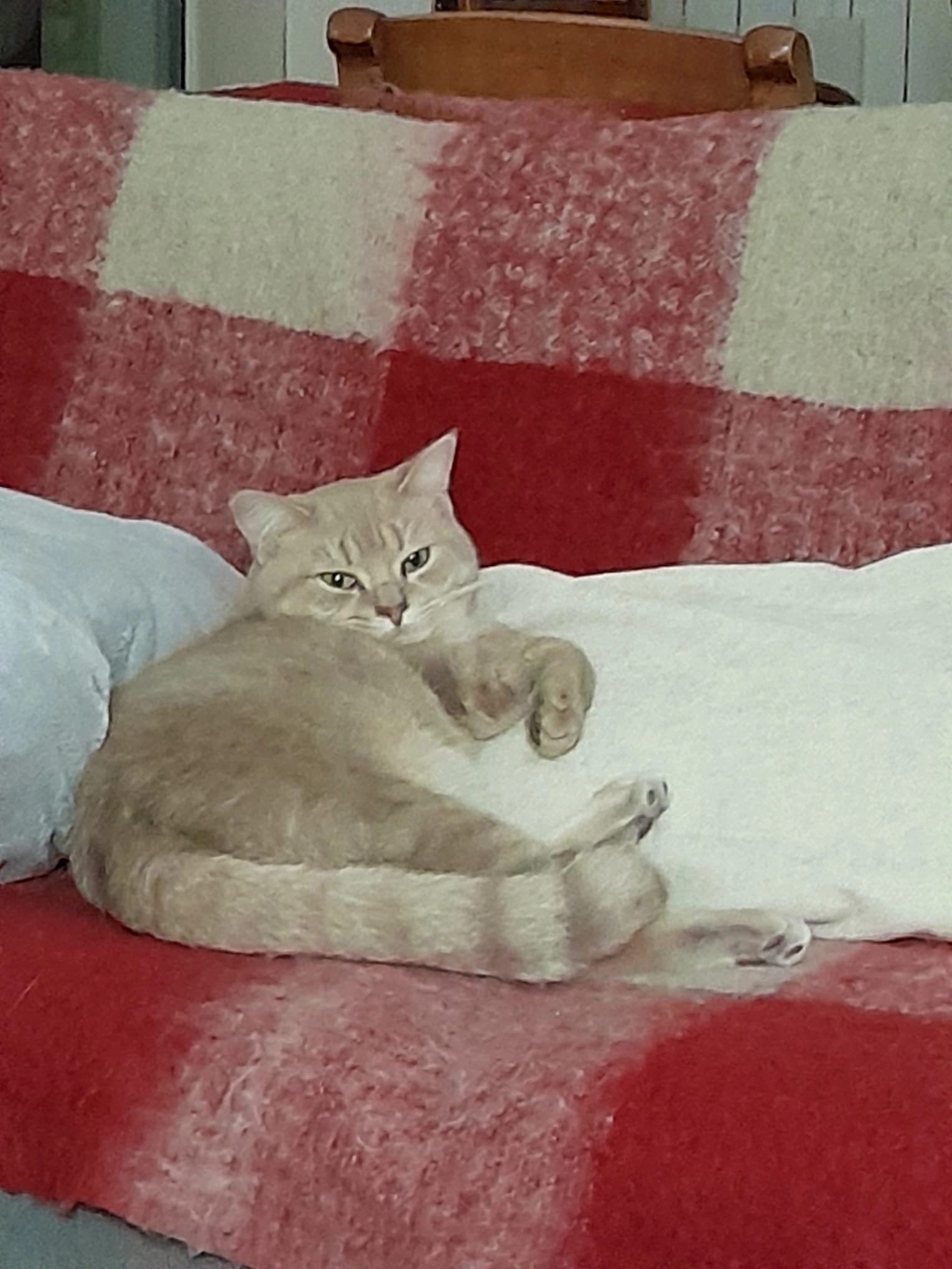 Riolé - 35 Rue de Vouillé, Paris