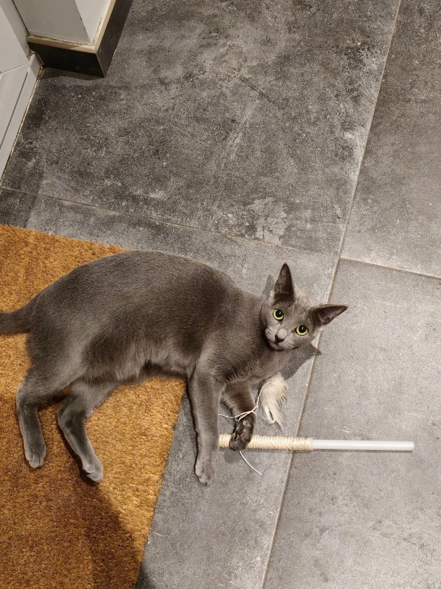 Powder - Chaussée De Fleurus, Thiméon