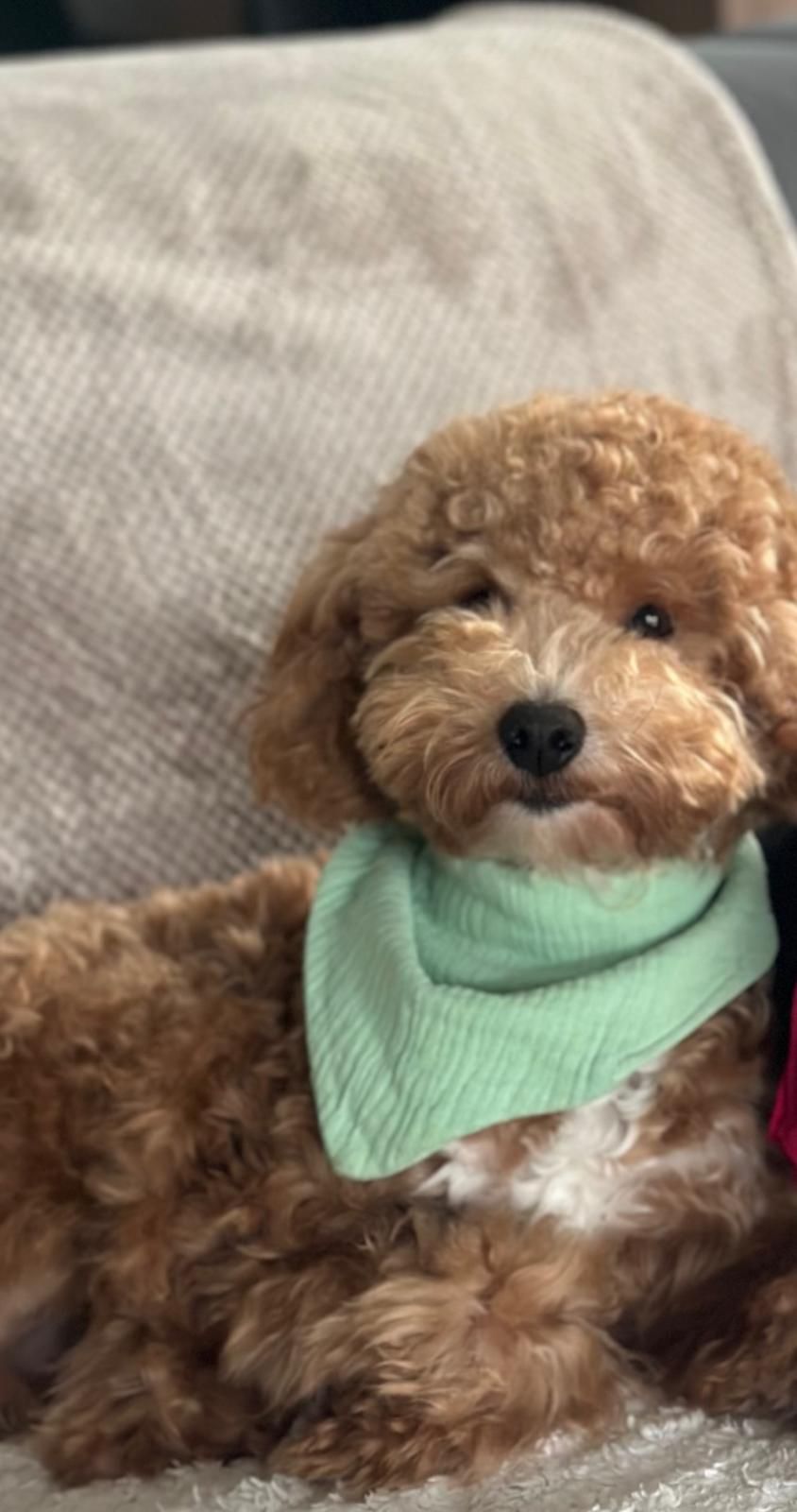 Milo - Hanns-Eisler-Straße, Berlin