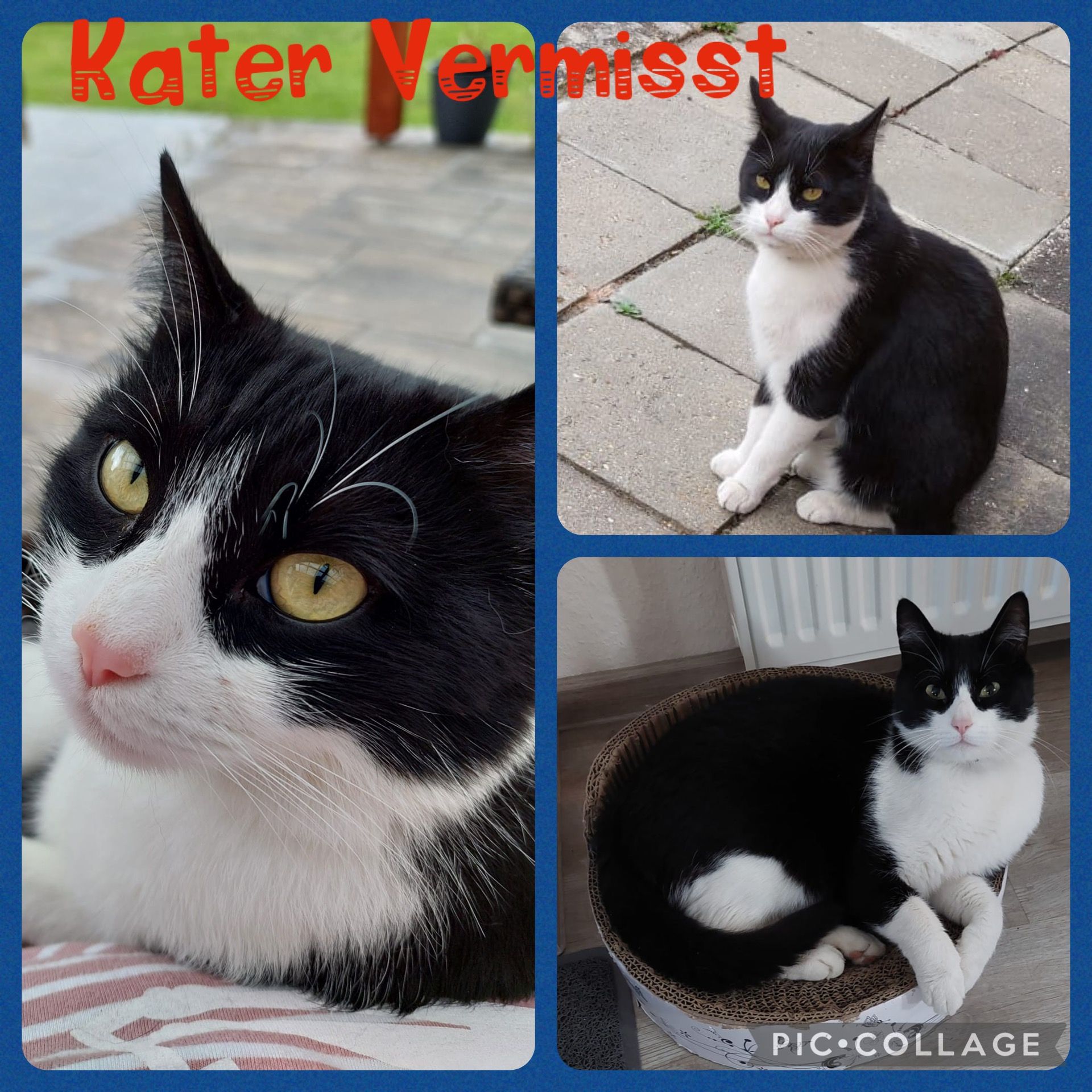 Pepe - Emil-Klingner-Straße, Stadtroda