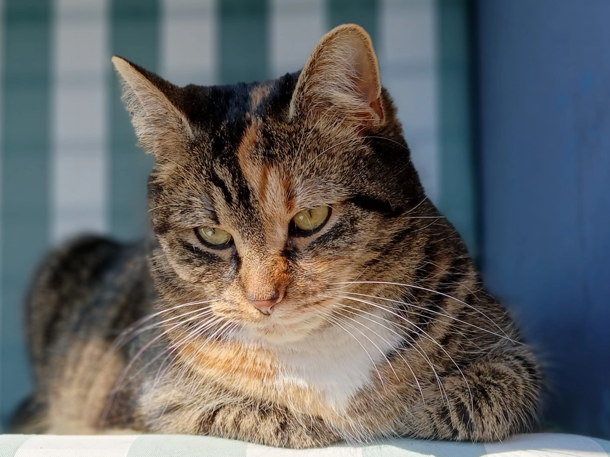 Rosie - Am Striegiszusammenfluss, Striegistal