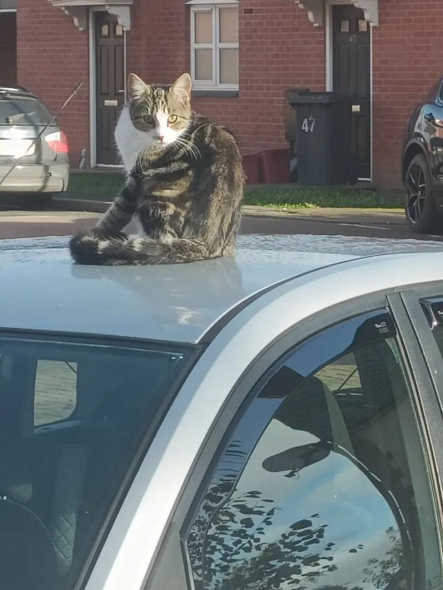 Skye - Farley Crescent, Ibstock