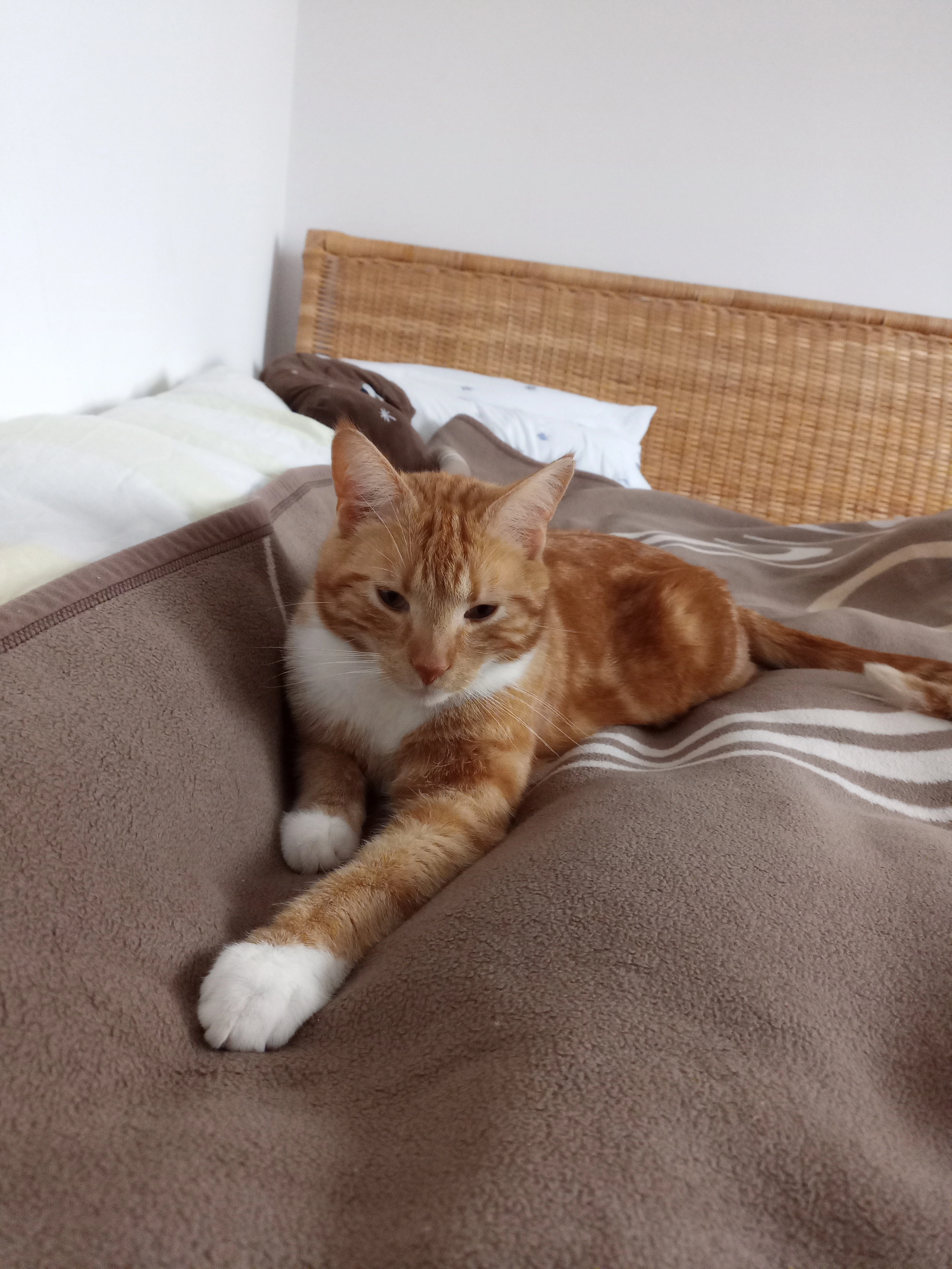 Charlie - Ulmenstraße, Weiler bei Bingen