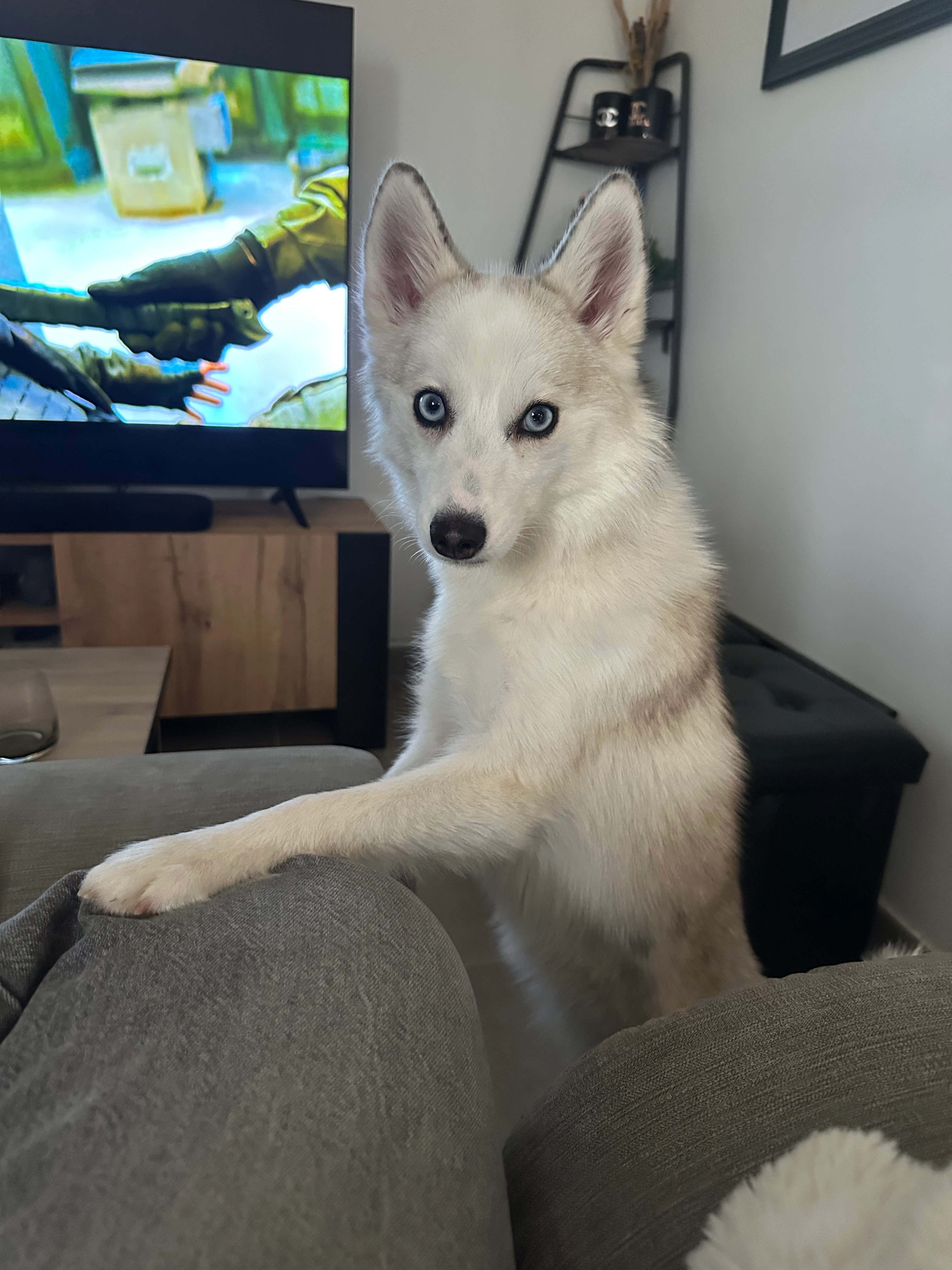 Vaina - 381 Chemin de Rambert, Meyreuil