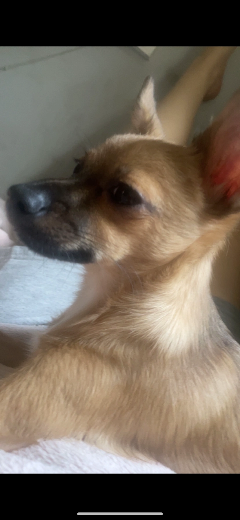 Biggie  - Gertrude Close, Manchester