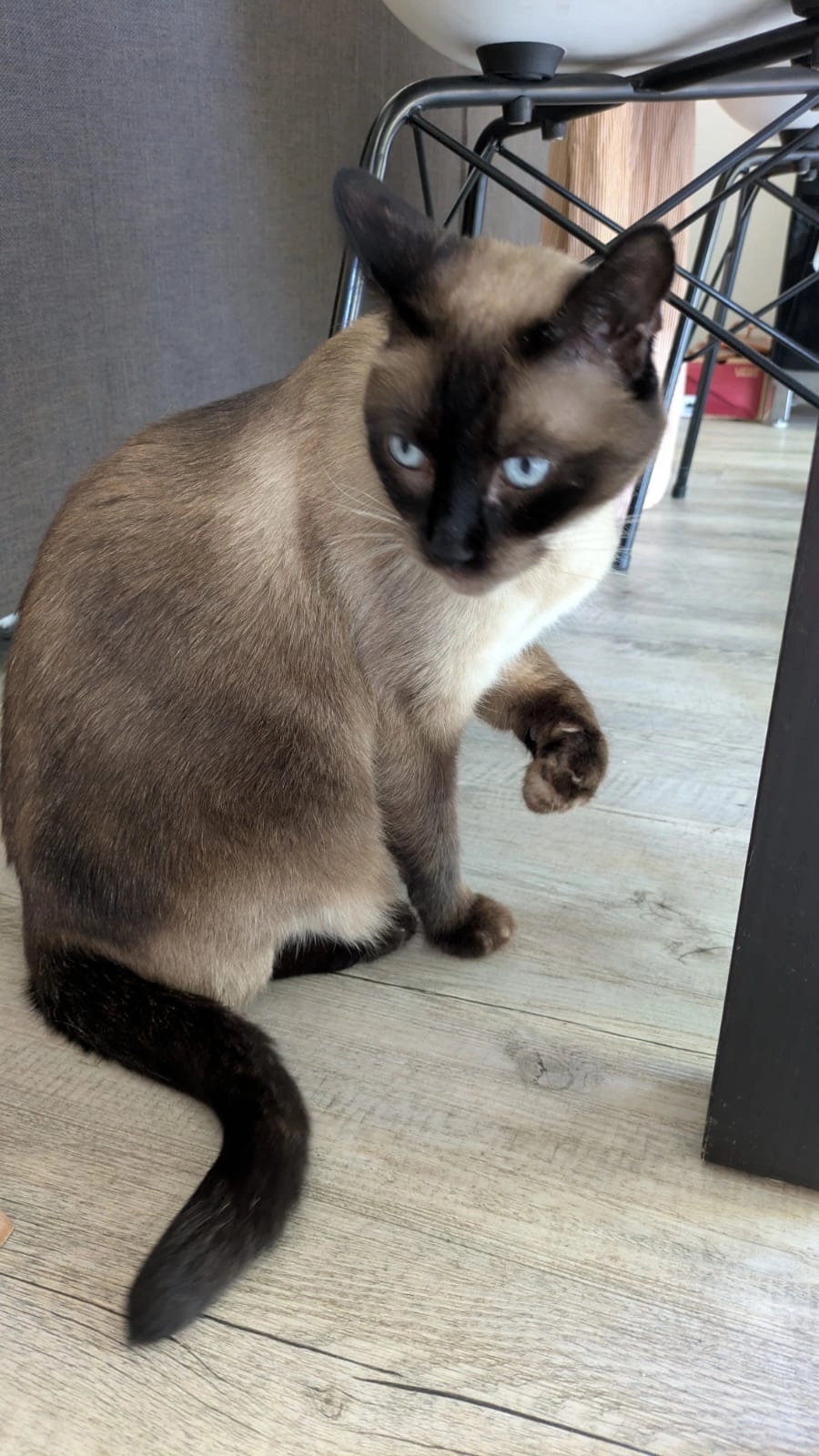 Merlette - 2,Boulevard Noël, Marseille 13012