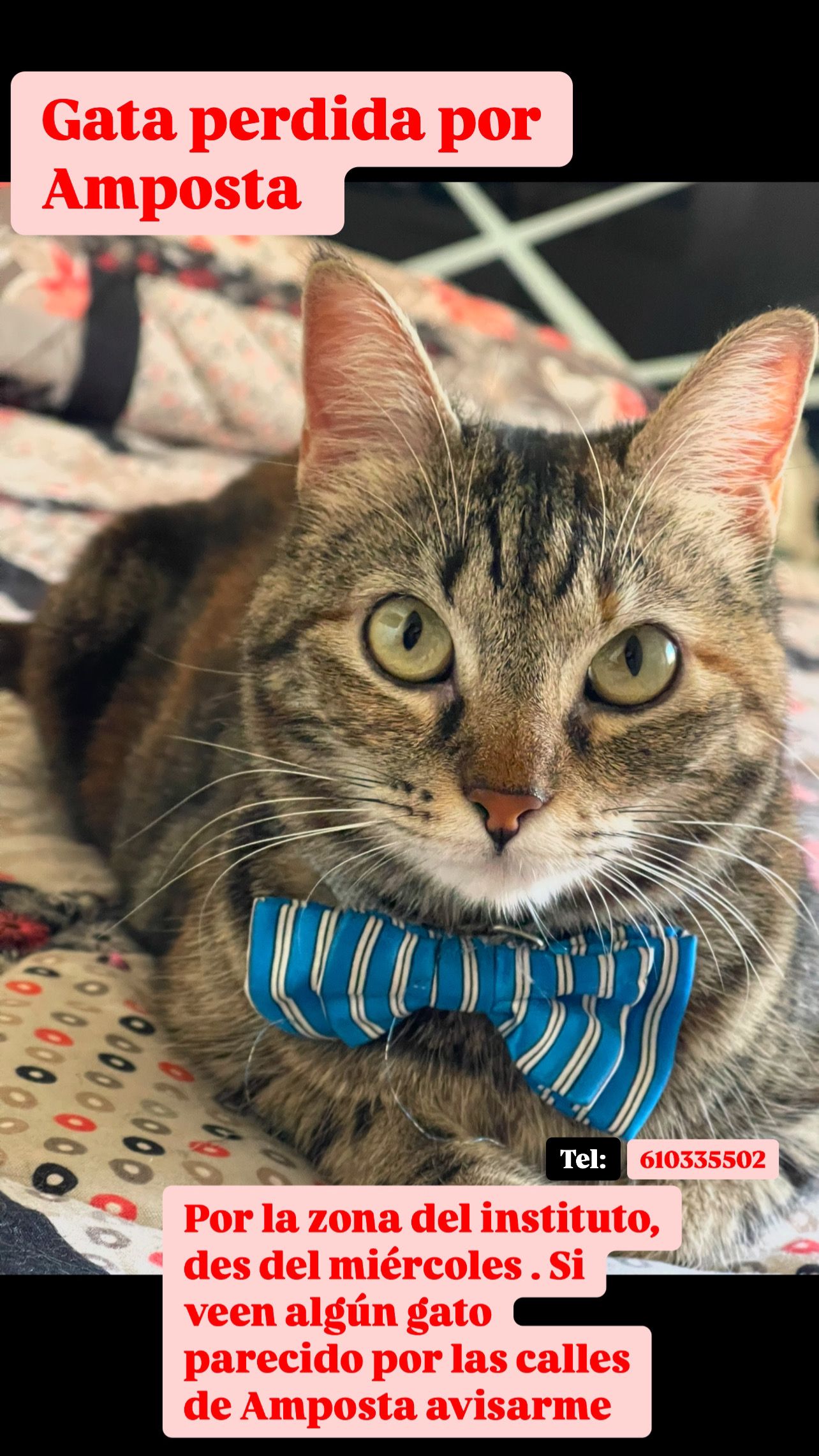 Cristina - Passatge de la Conca, Amposta