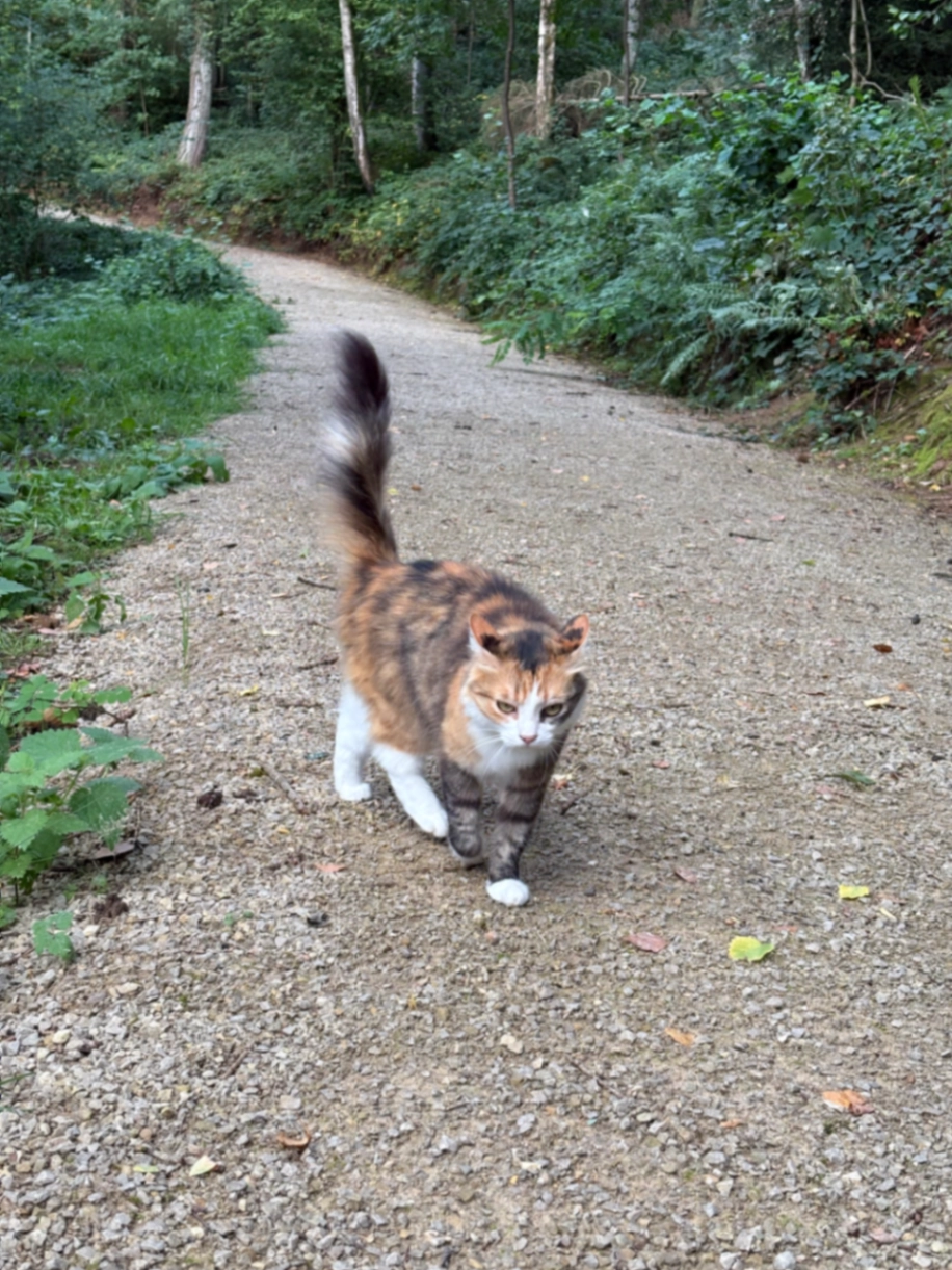 Unknown - Rue de Neudorf, Luxembourg