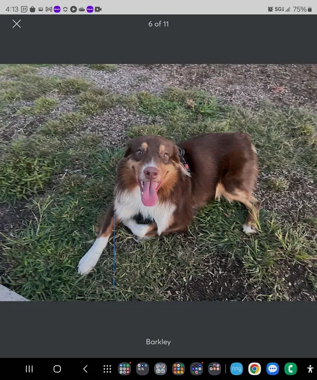 Barkley - John F Kennedy Boulevard, Somerset