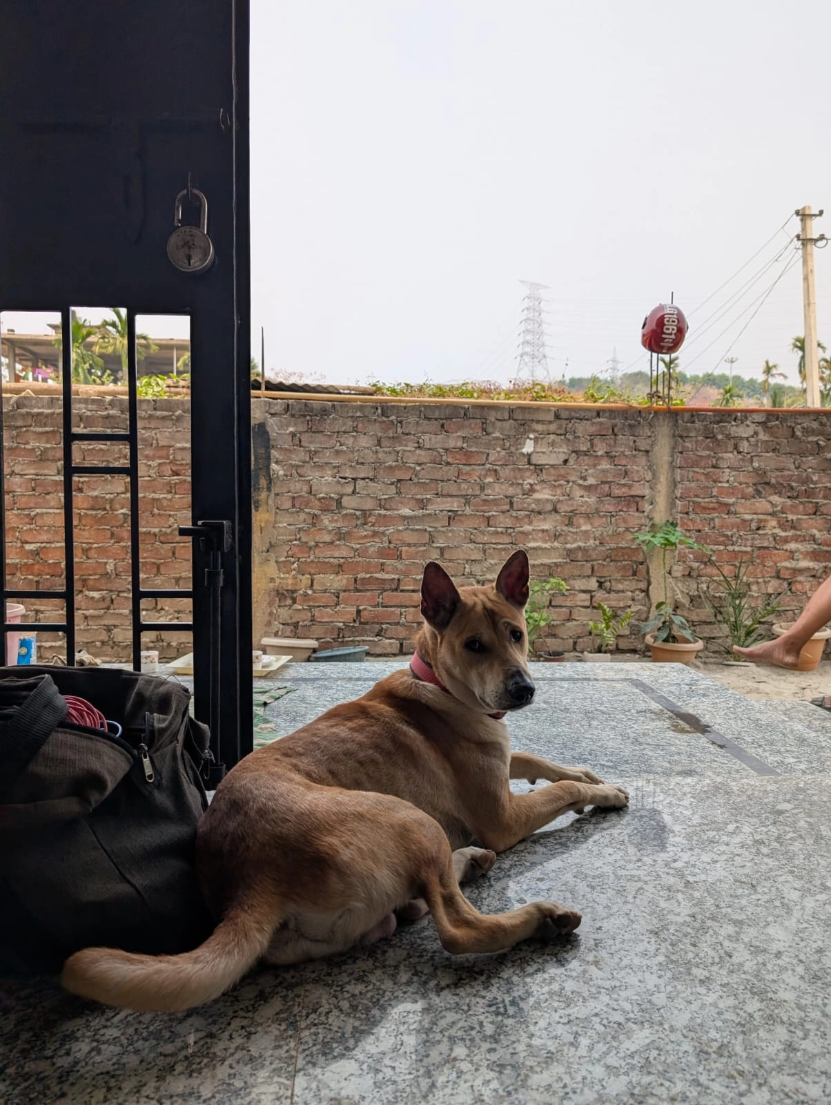 Beam - Nh37, Guwahati