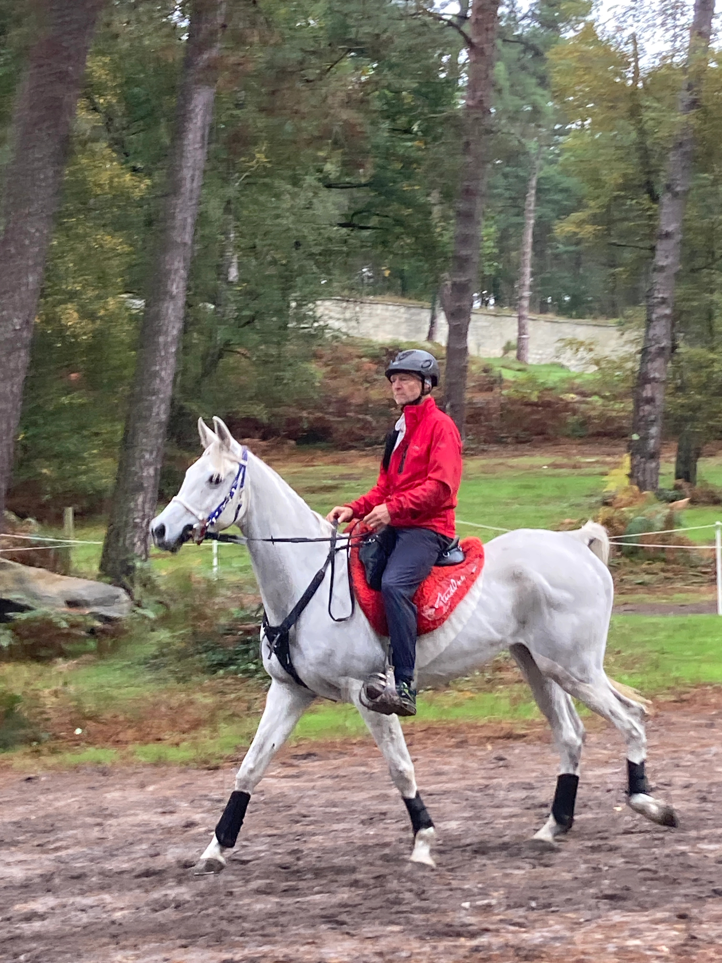 HT Nadir  - Route de Tréguennec, Plonéour-Lanvern