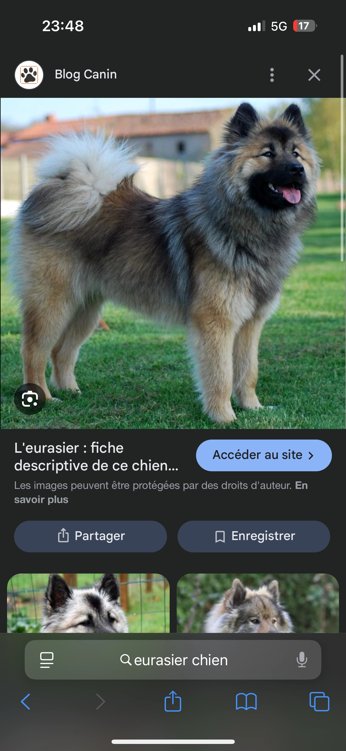 Ripsy - 27 Rue de Granges, Fontenay-le-Comte