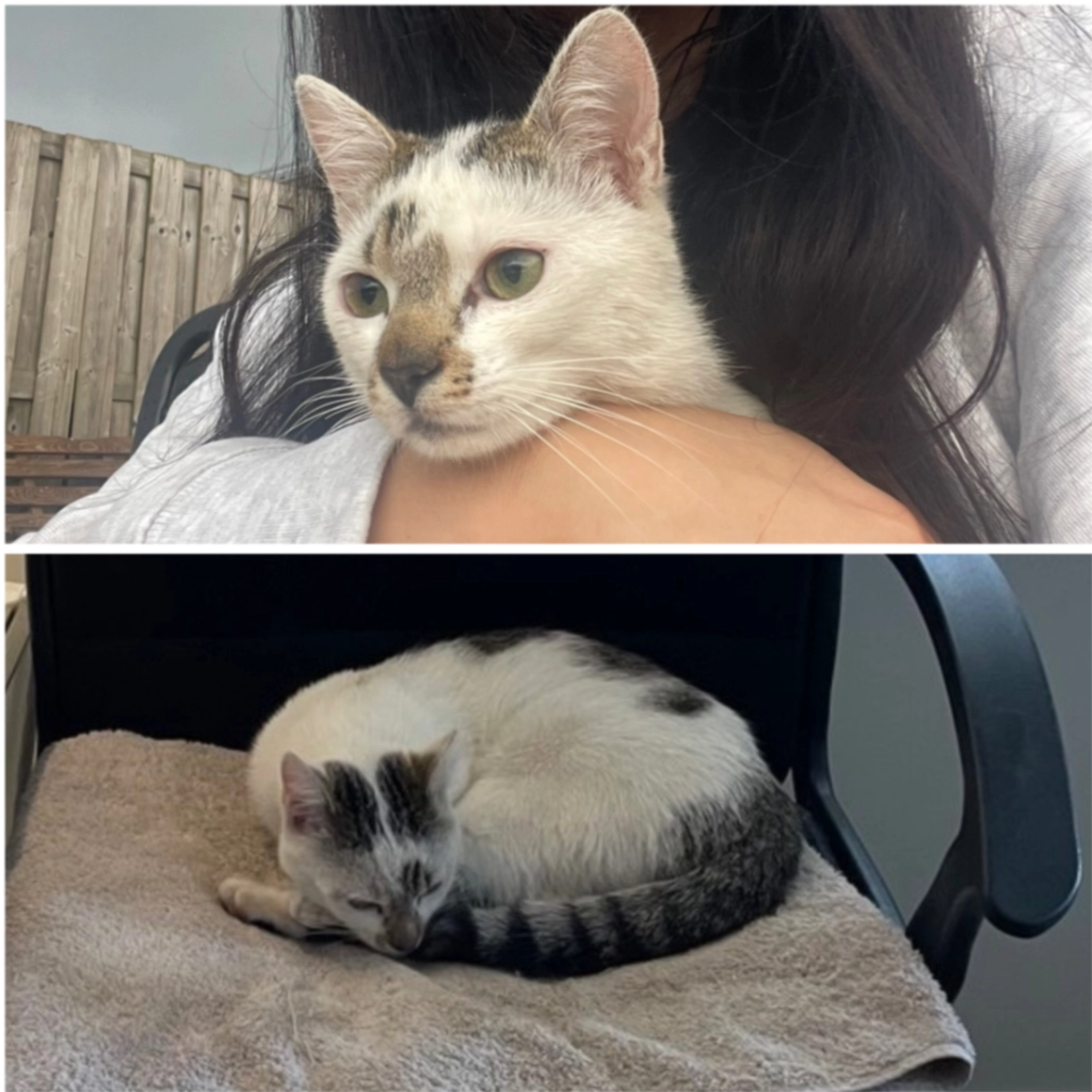 Mars - Nieuwe Gouw, Ransdorp