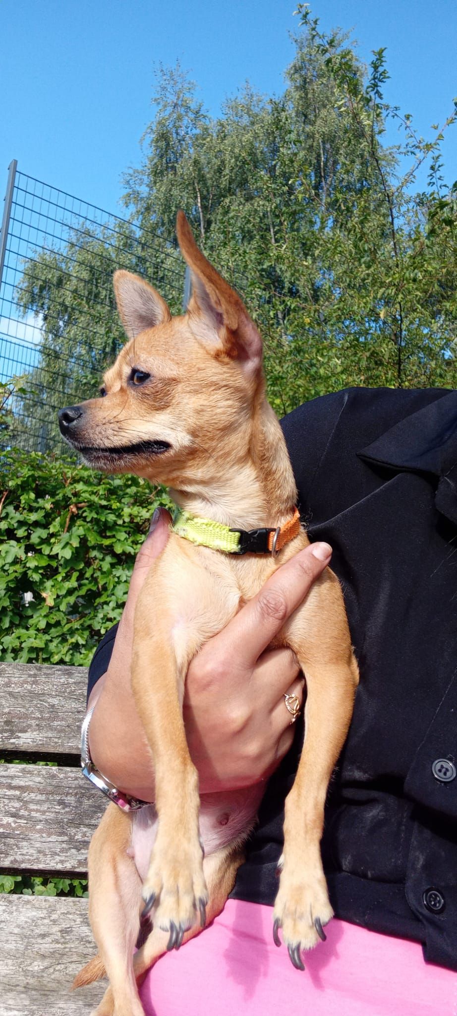 damla - Gasmeterlaan, Gent