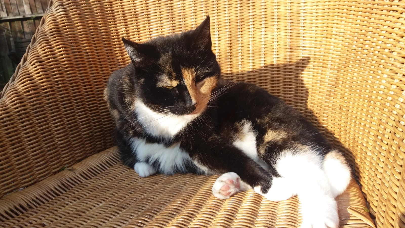 Poekiepoes - Rozenpad, Assen