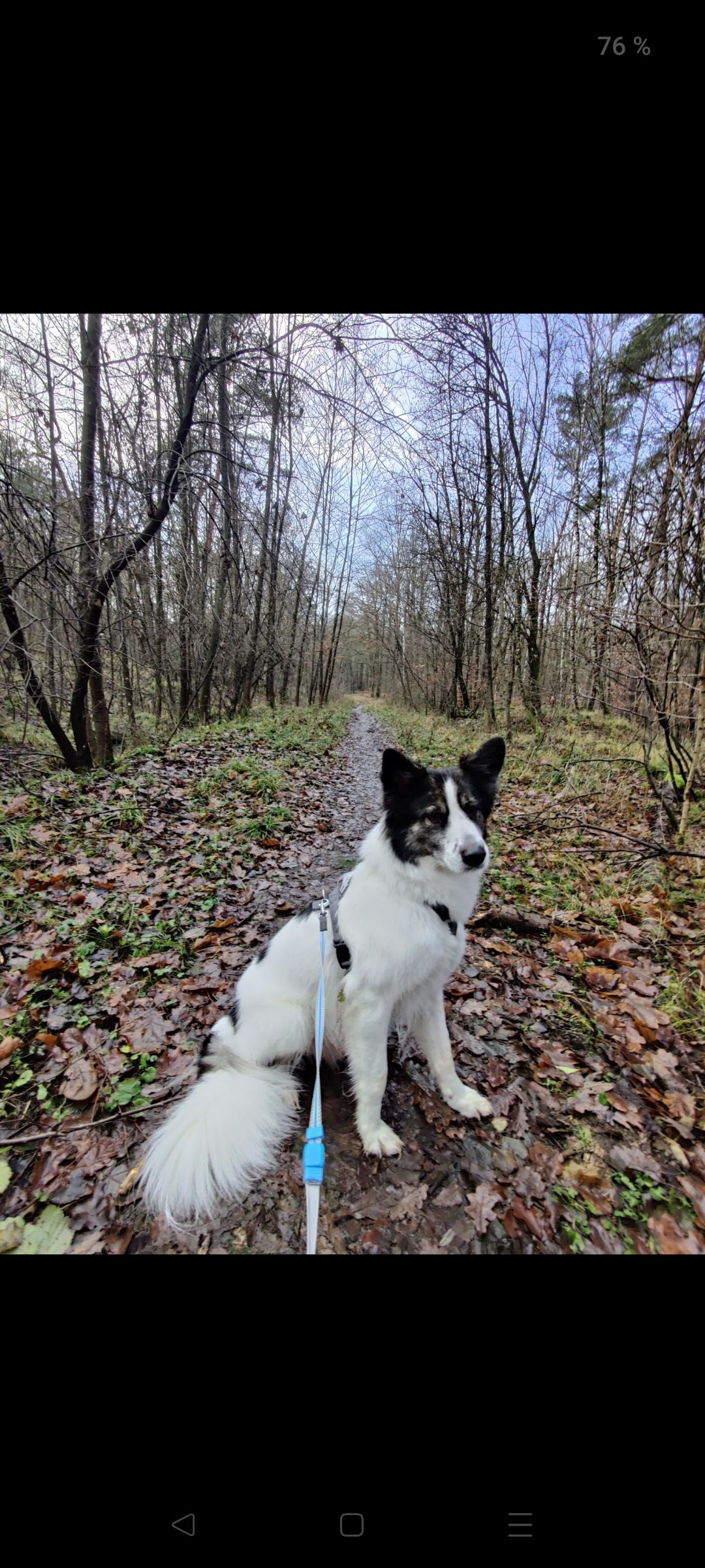 Merlin - Oosterpark, Oostkapelle