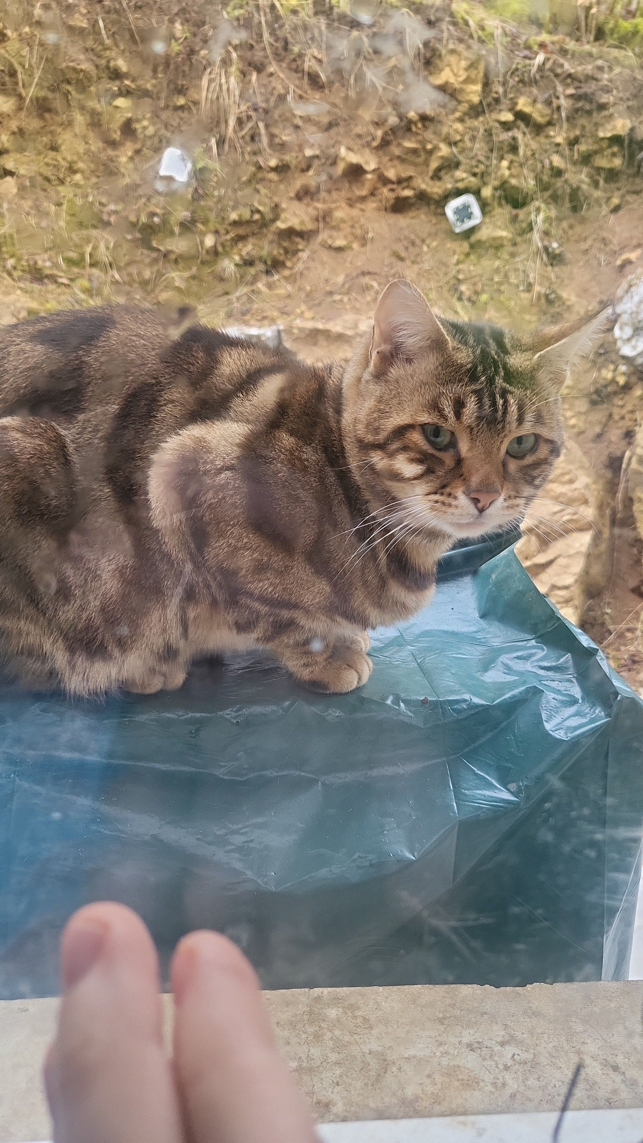 Tomi - Brunnenstraße, Trochtelfingen