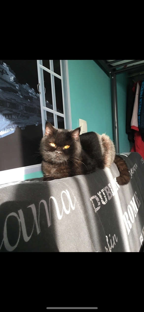 Carlouchette - 3 Rue du Pré Fleuri, Bonson