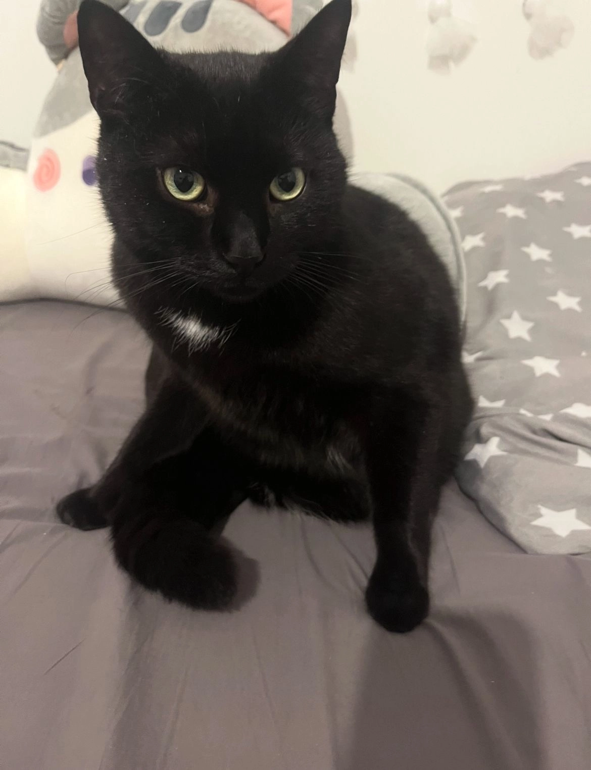 Paul - Wellbornstraße, Elze