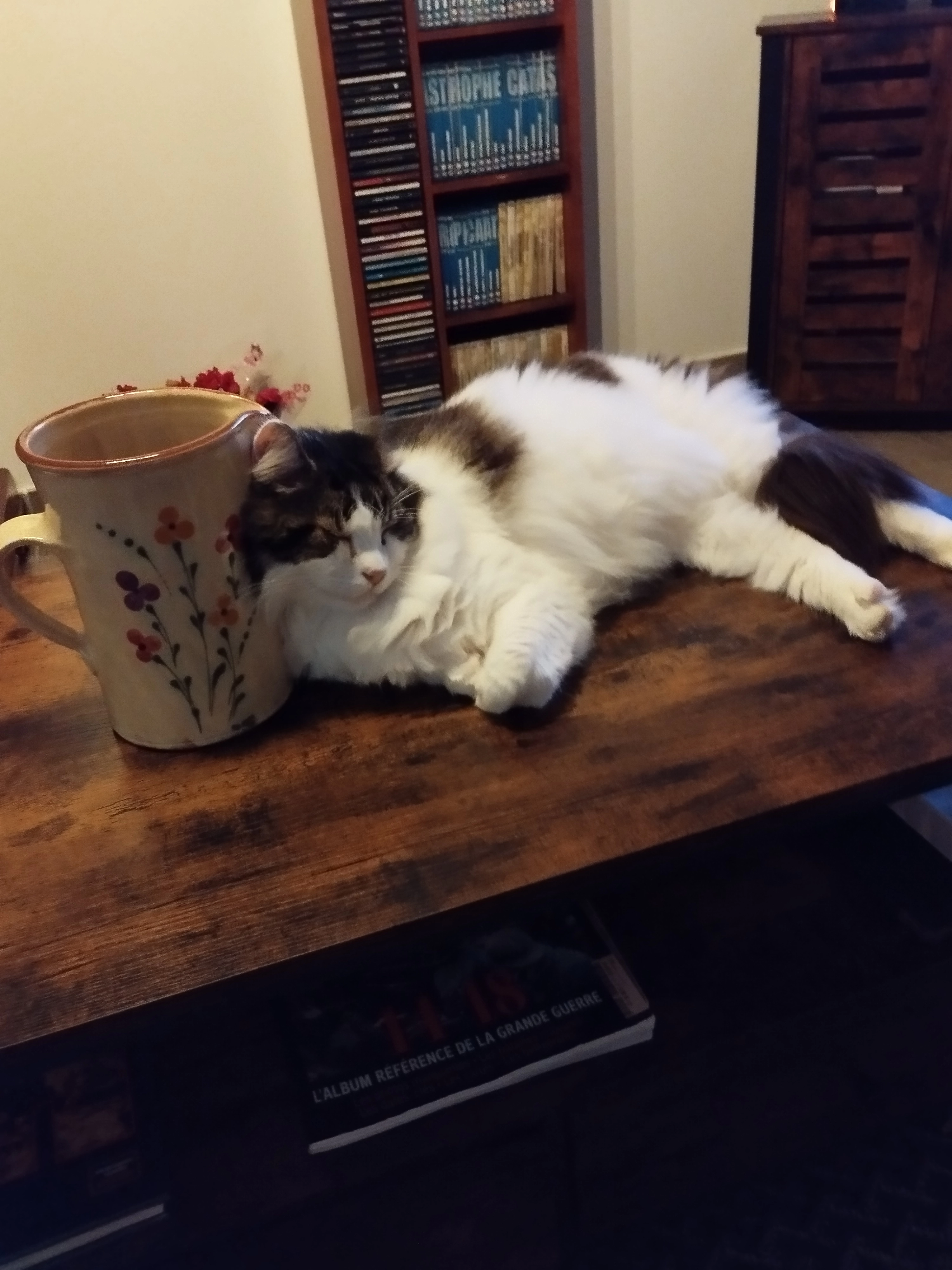 Forest - 12 Rue des Œillets, Angles