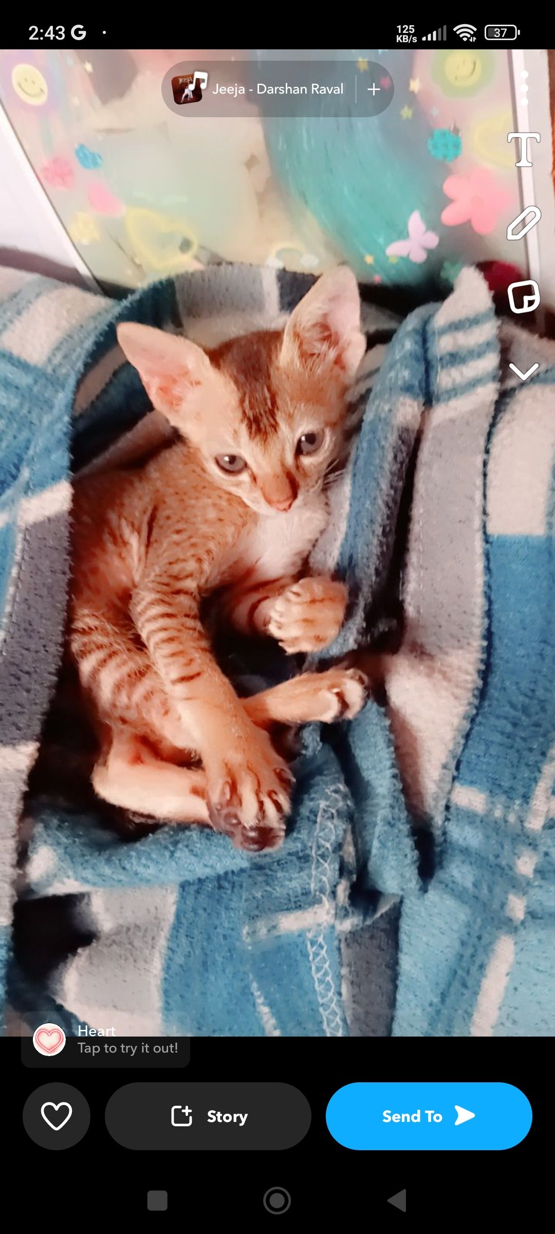 Kittu - Parsa, Phulwari