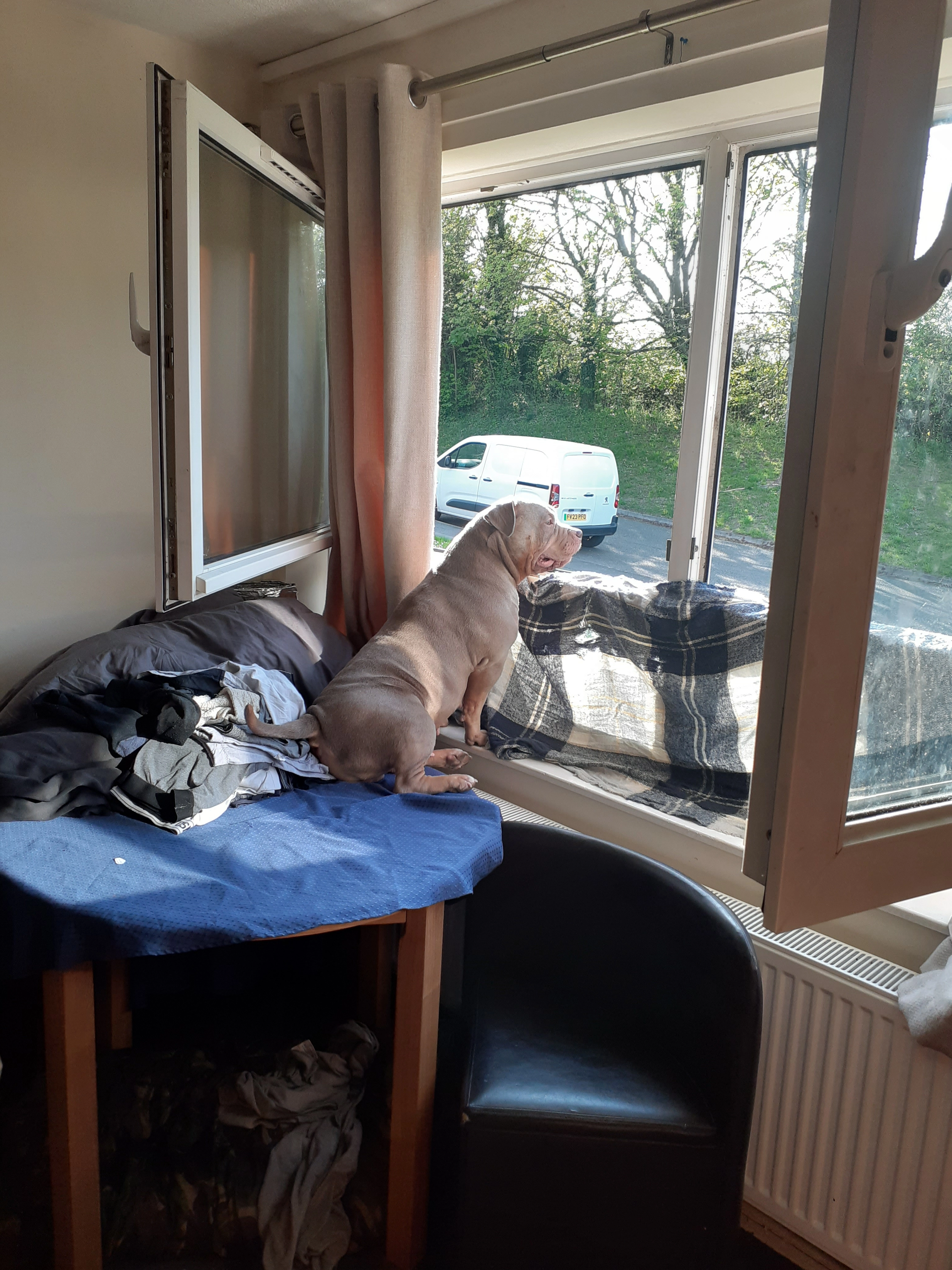 zarla - NN5 7, Northampton