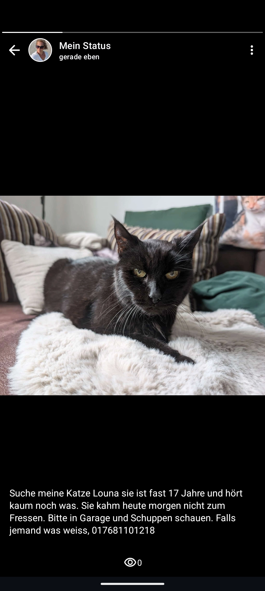 Luna - Am Rothbüchel, Freystadt