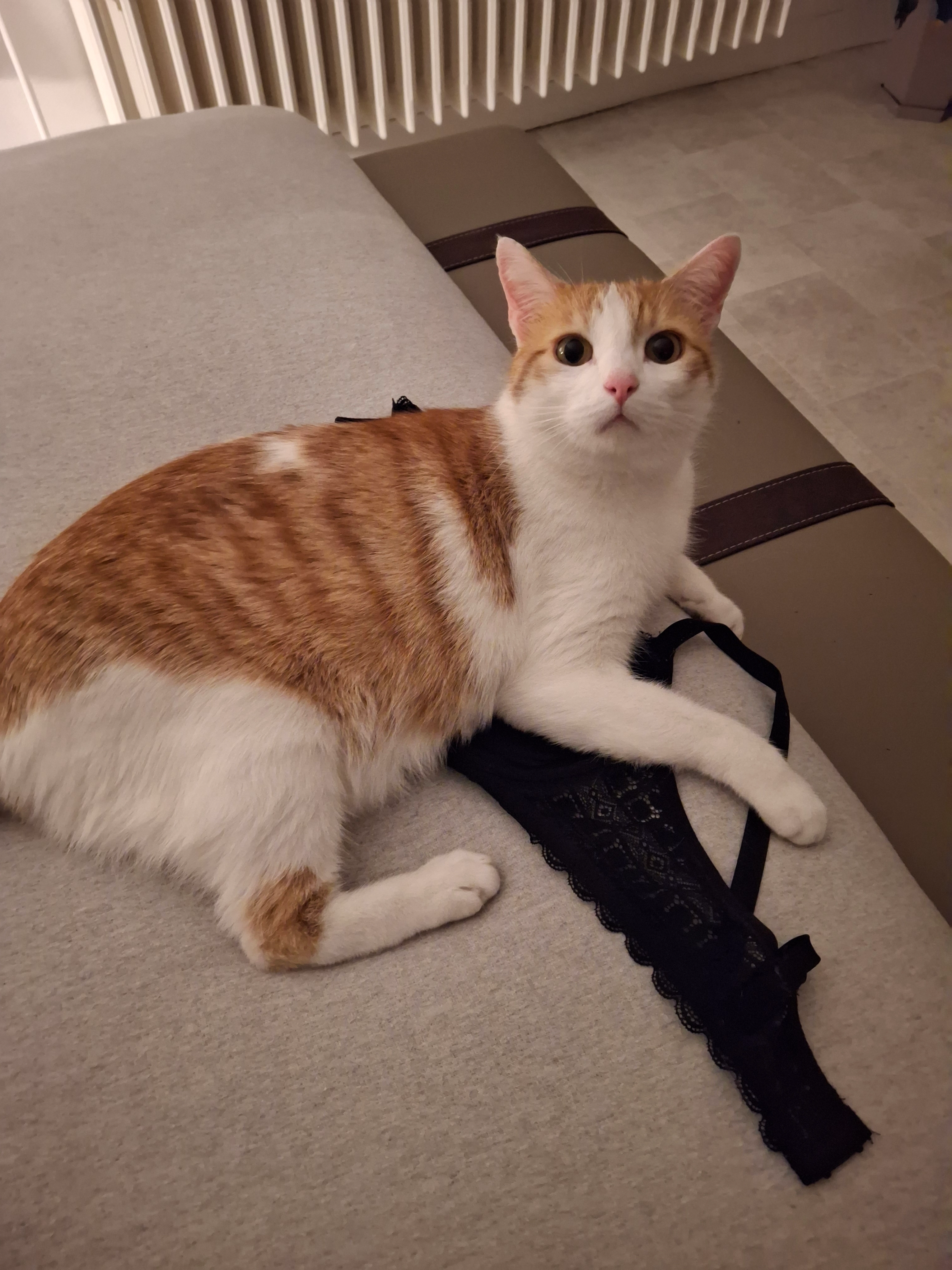 Nouki - 11 Allée de Jemmapes, Nevers