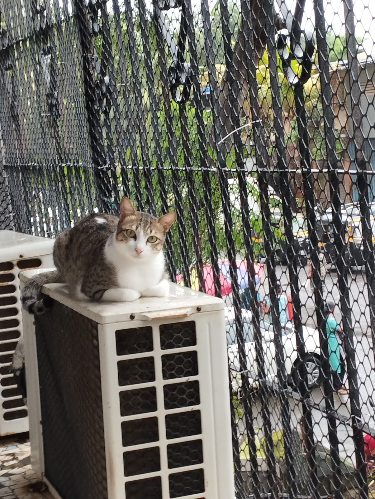 Abel - Old Link Road, Mumbai