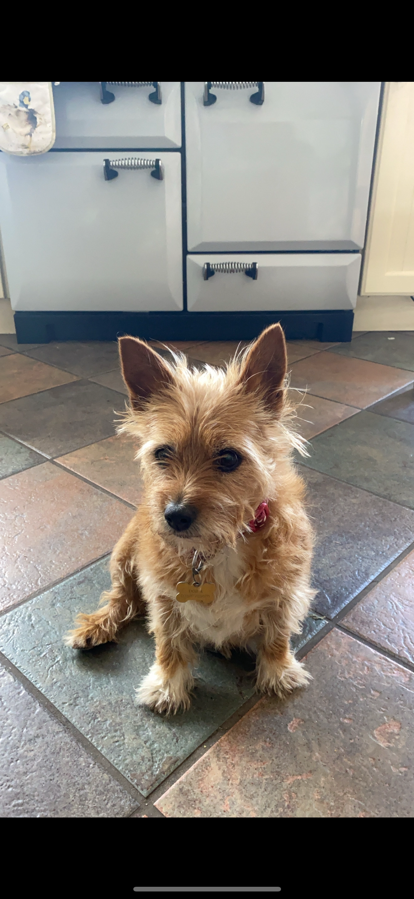 Dora - Aghinlig Road, Moy