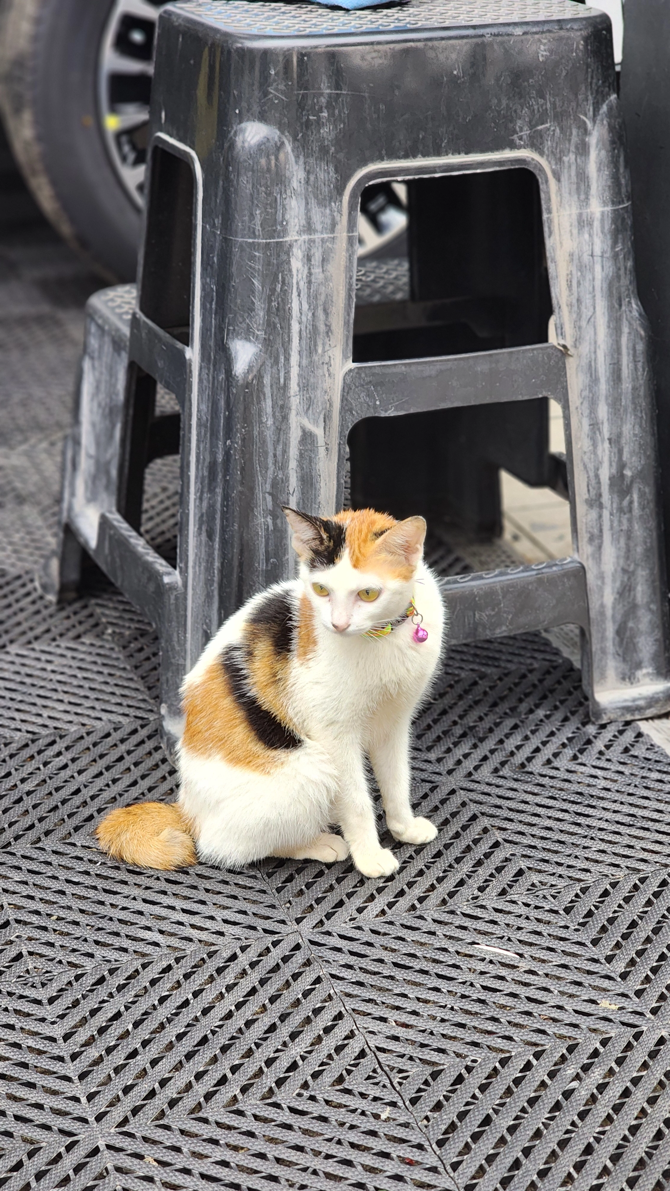 Baby - 47160, Puchong