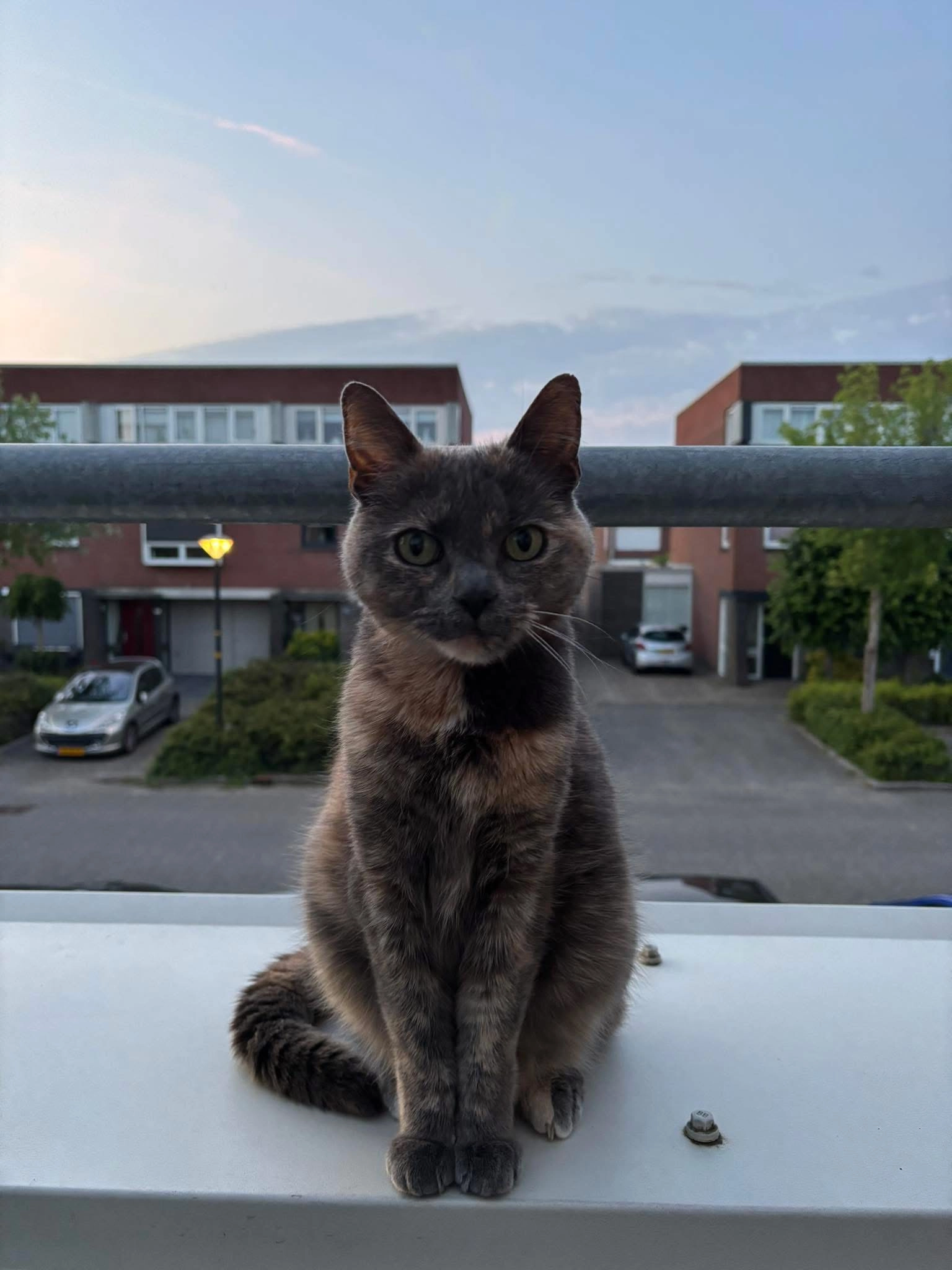 kiwi - ’T Frusselt, Vierhouten